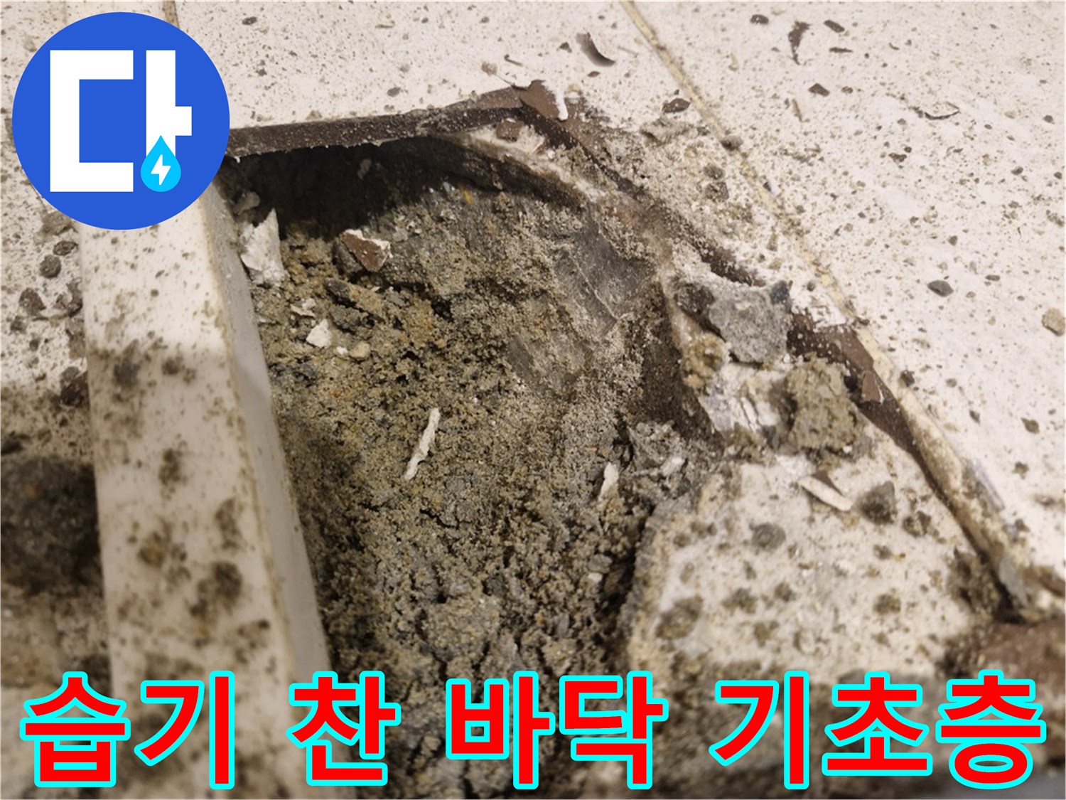 타일-아래-축축하게-젖은-바닥-모습