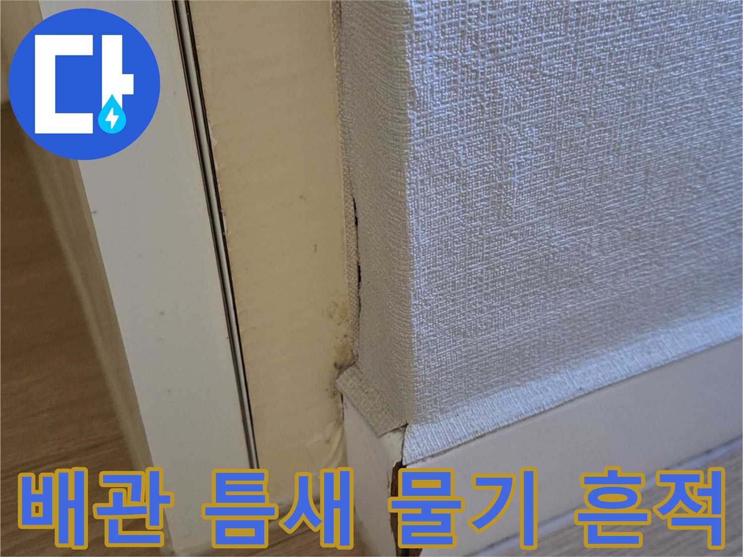 바닥-마감재-사이의-습윤한-상태