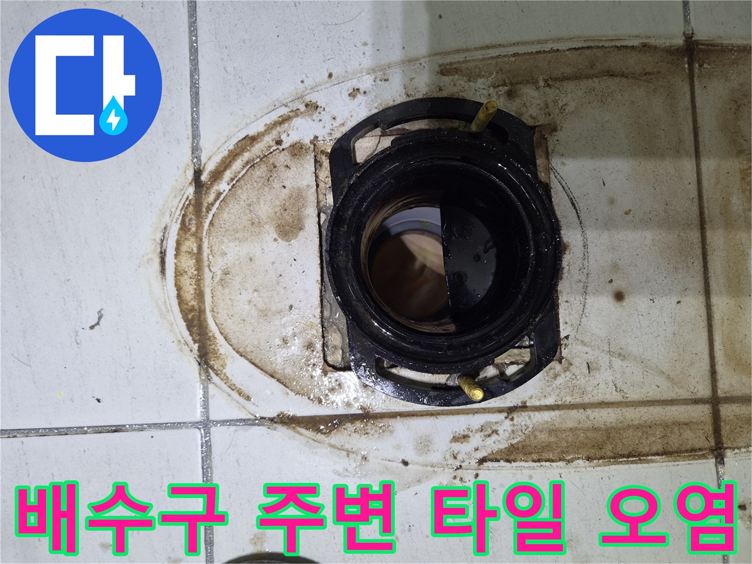 습기로 인해 변색된 배수구 주변 타일