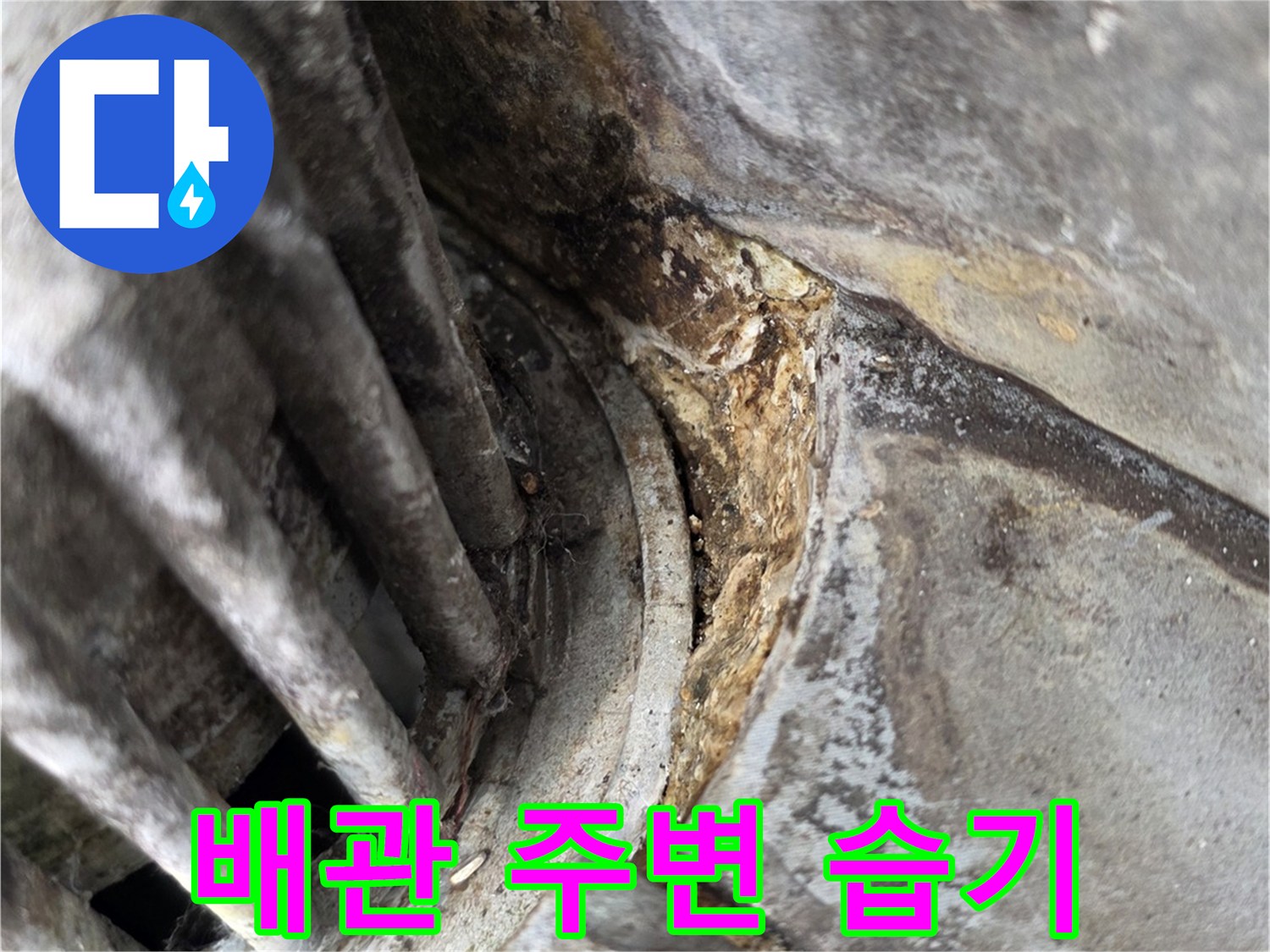 배관-주변의-물자국과-습기-침투-흔적