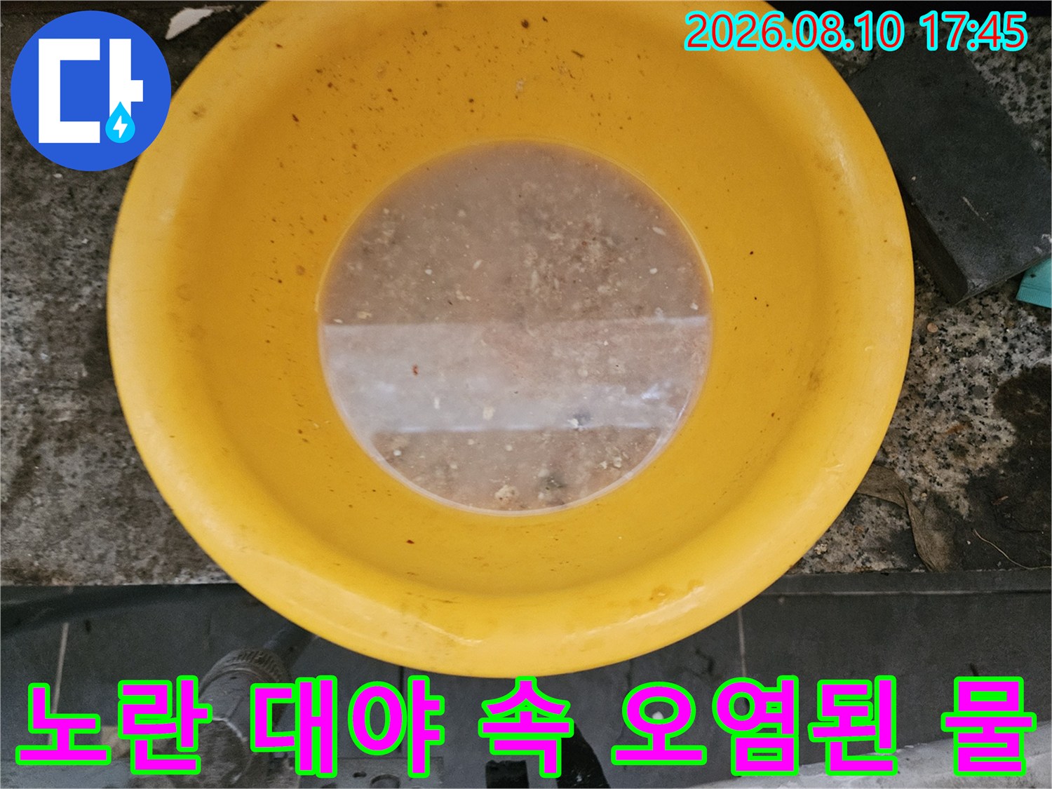 노란 대야-이물질과 섞여 탁한 상태의 물