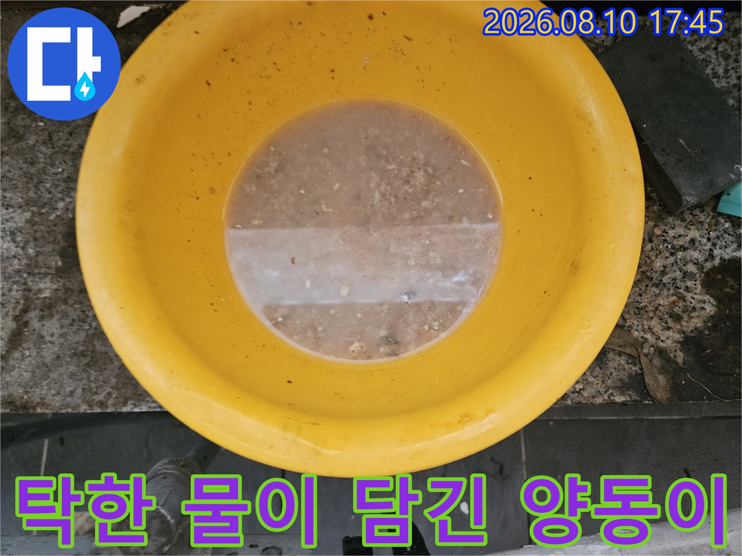노란색 대야에-고여 있는 흙탕물의 상태