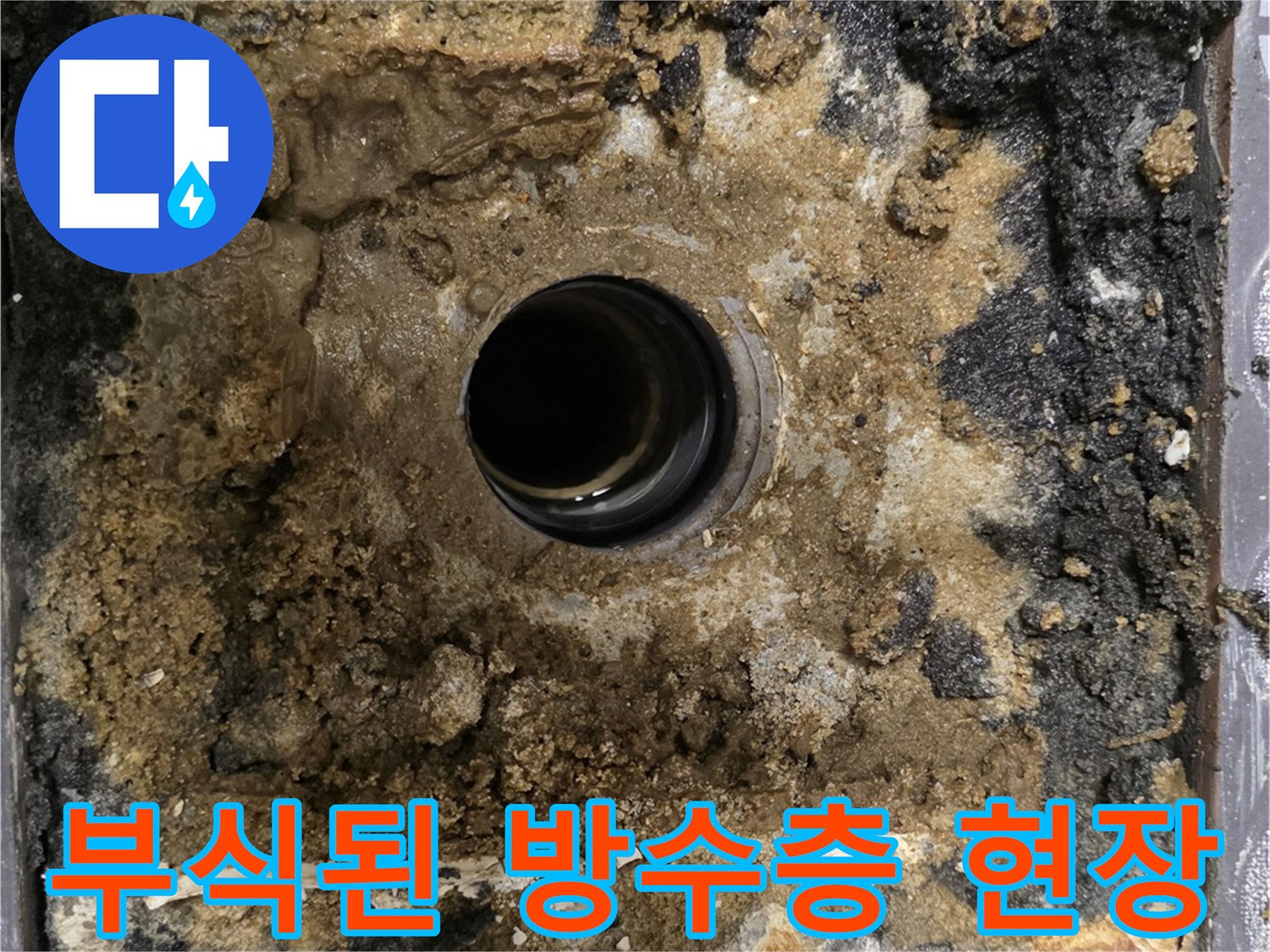배수구-주변-오염된-방수층-및-잔해물
