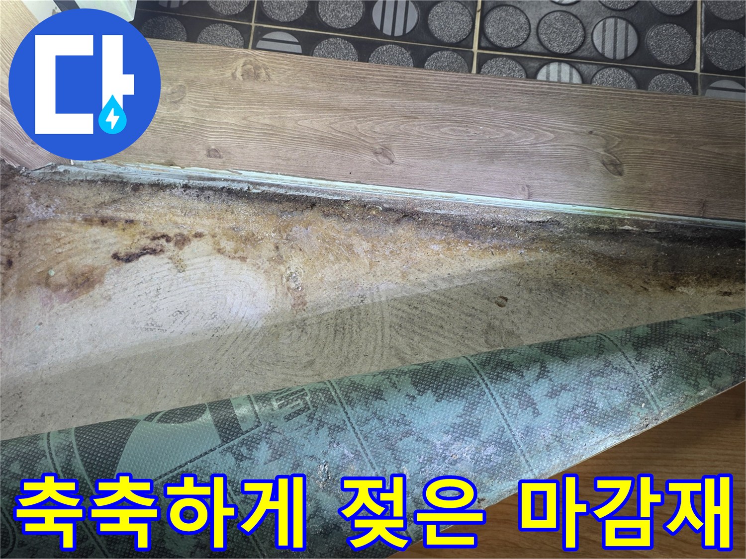습기를-머금고-있는-타일-경계-부위
