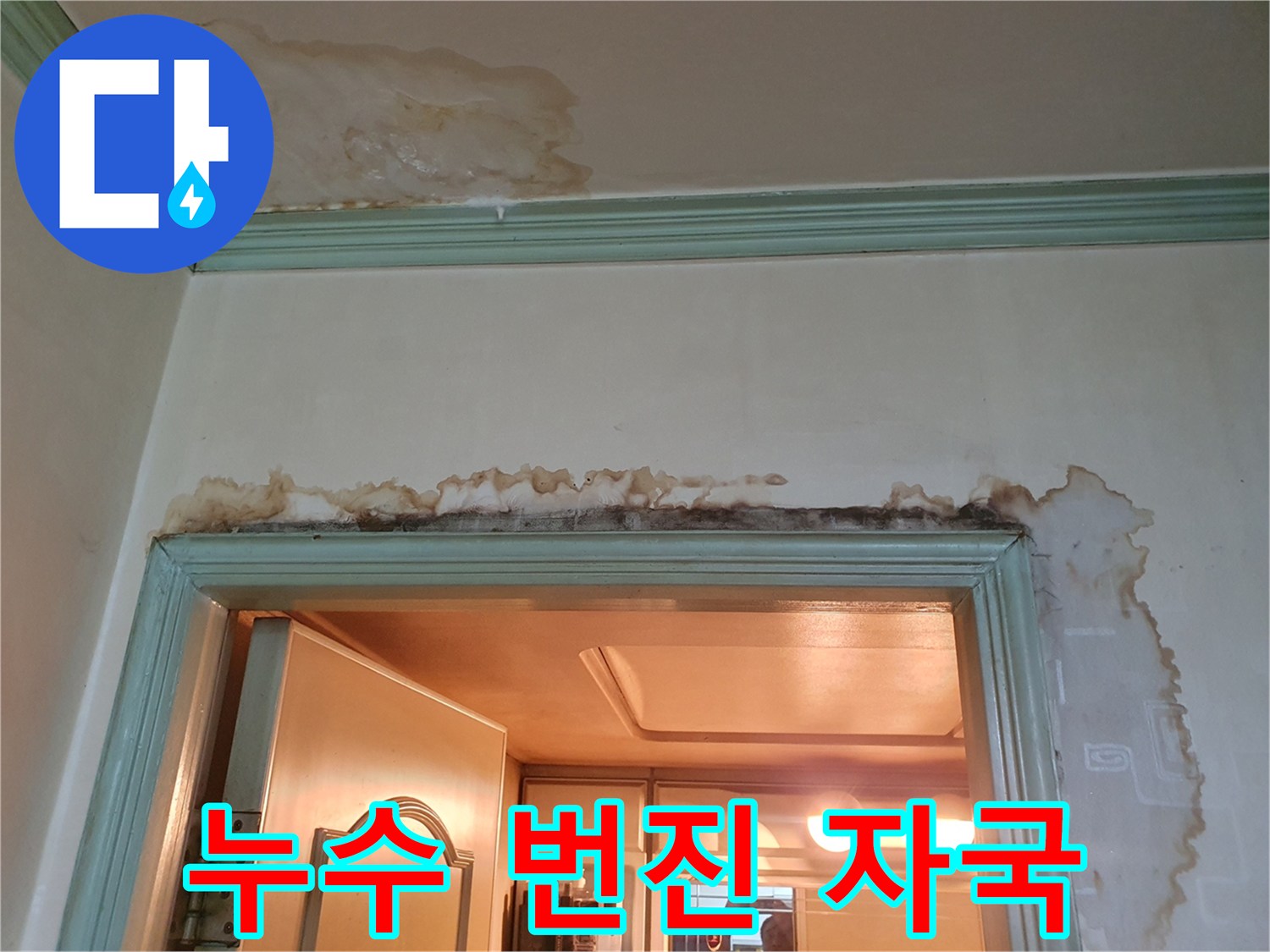 천장-몰딩-아래로-번져있는-물자국
