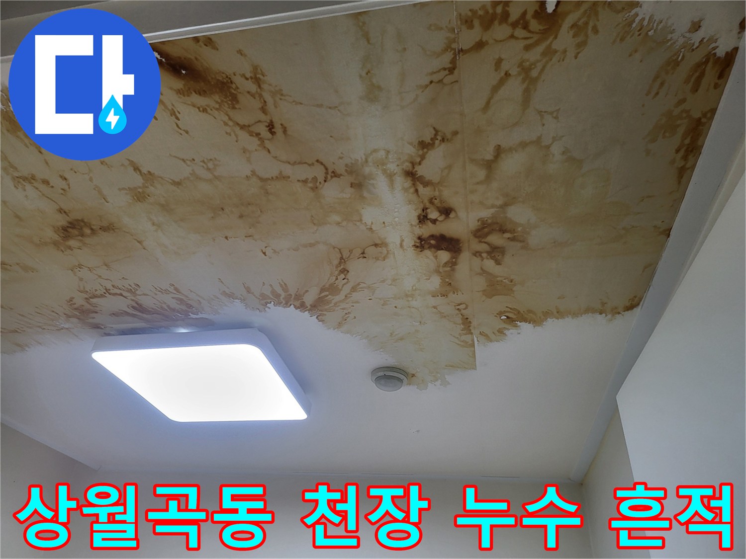 성북구 상월<br>천장 변색 및 얼룩 상태