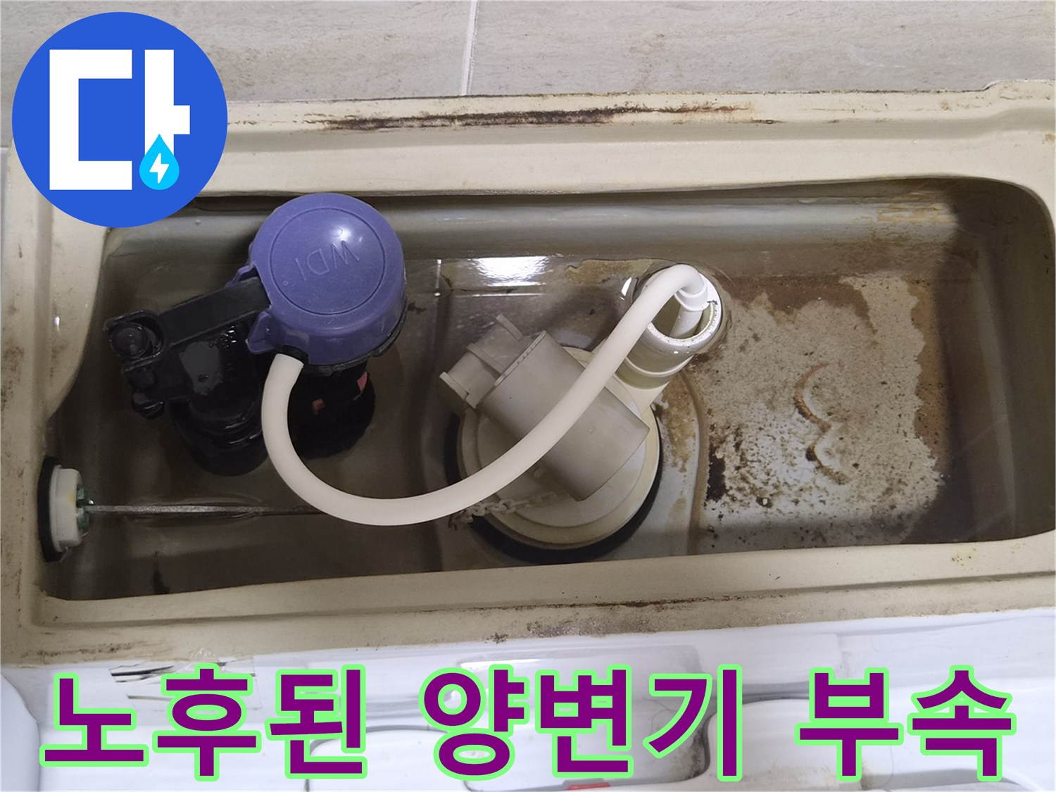 오염된-물때가-보이는-양변기-내부-부속품
