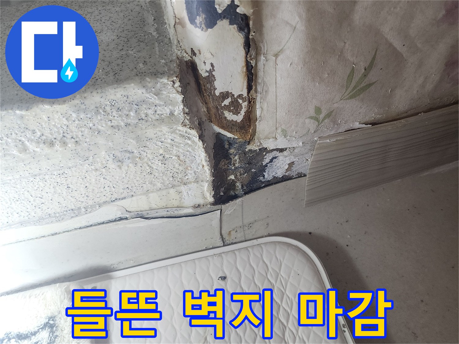 습기로-젖어 있는 화장실 입구 벽면