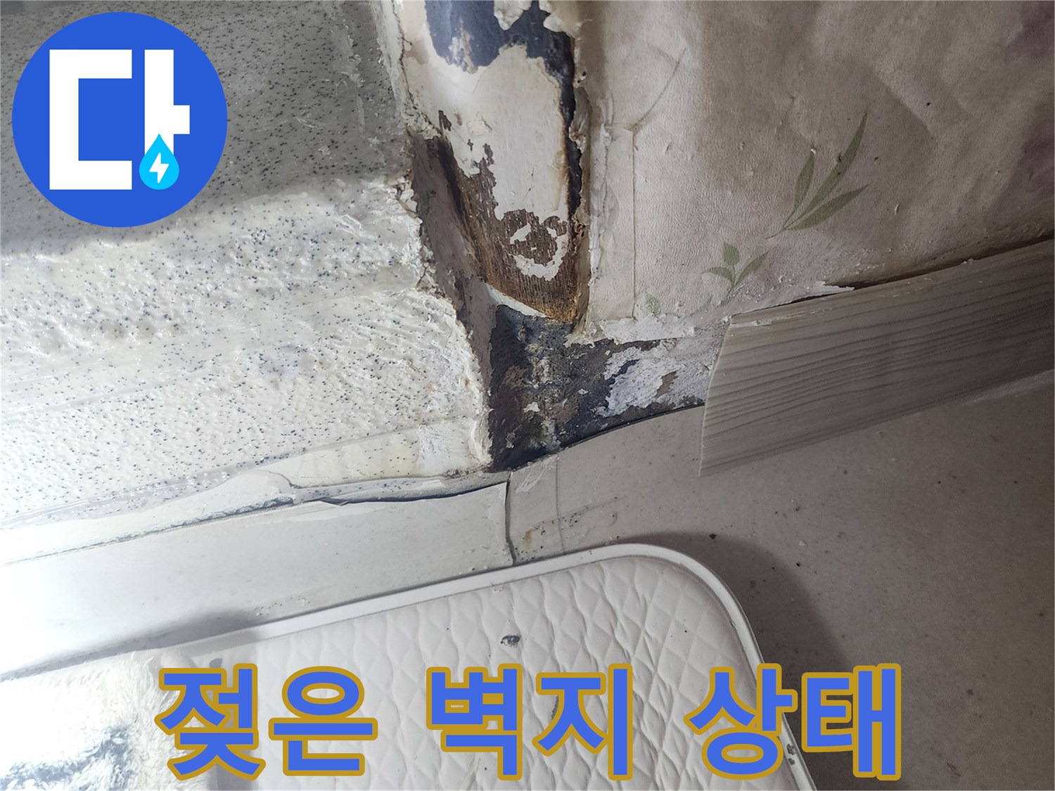 화장실 문틀 주변-젖어서 들뜬 벽지 모습