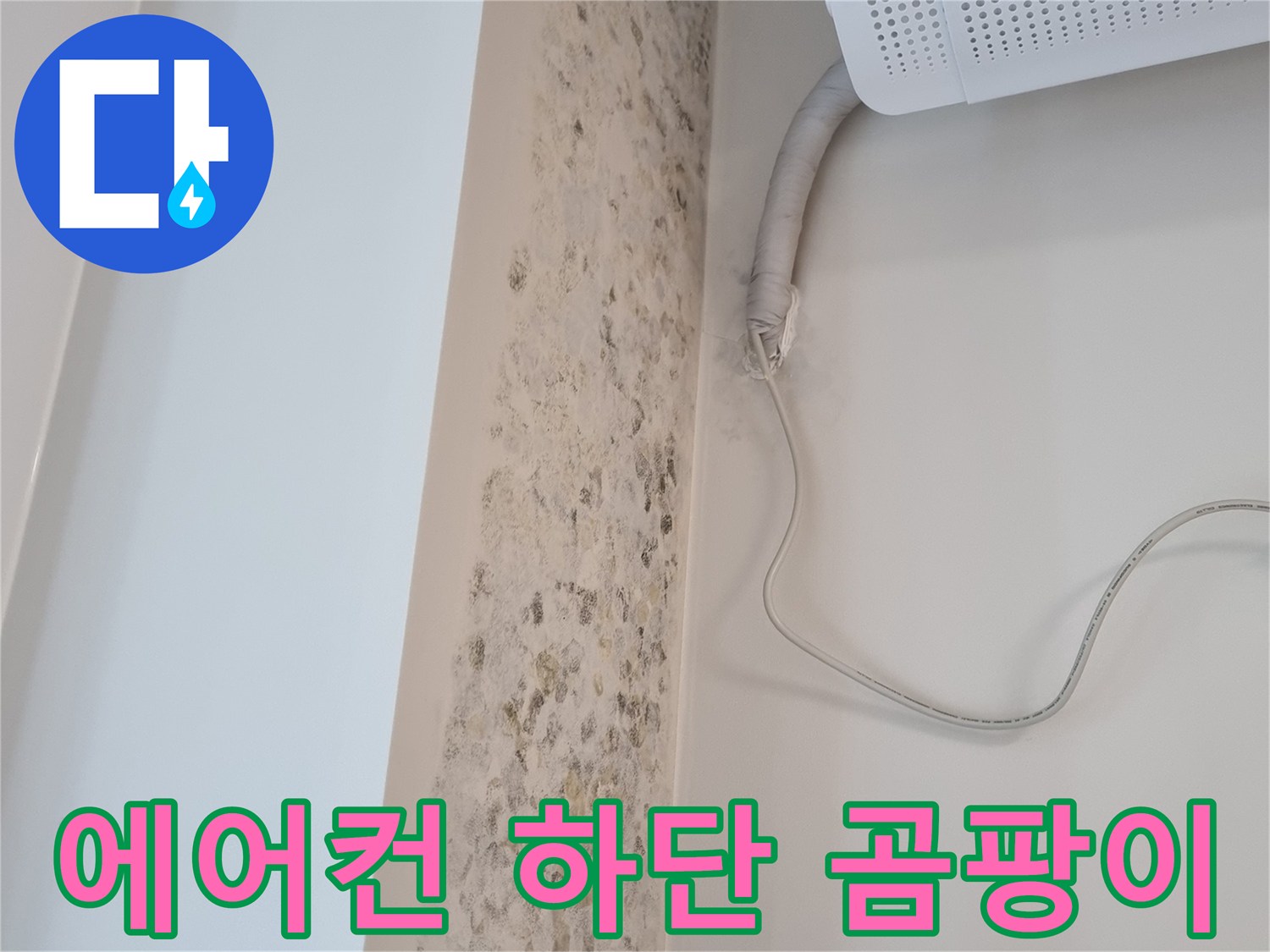 배관을 따라 넓게 퍼진 곰팡이와 습기 흔적