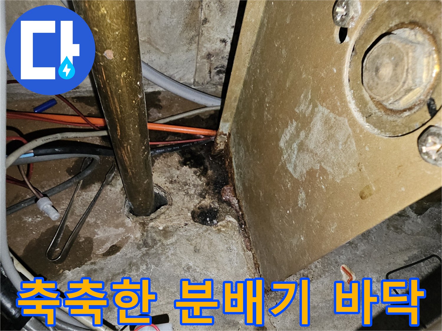 물에-젖어-검게-변한-분배기-하단-바닥