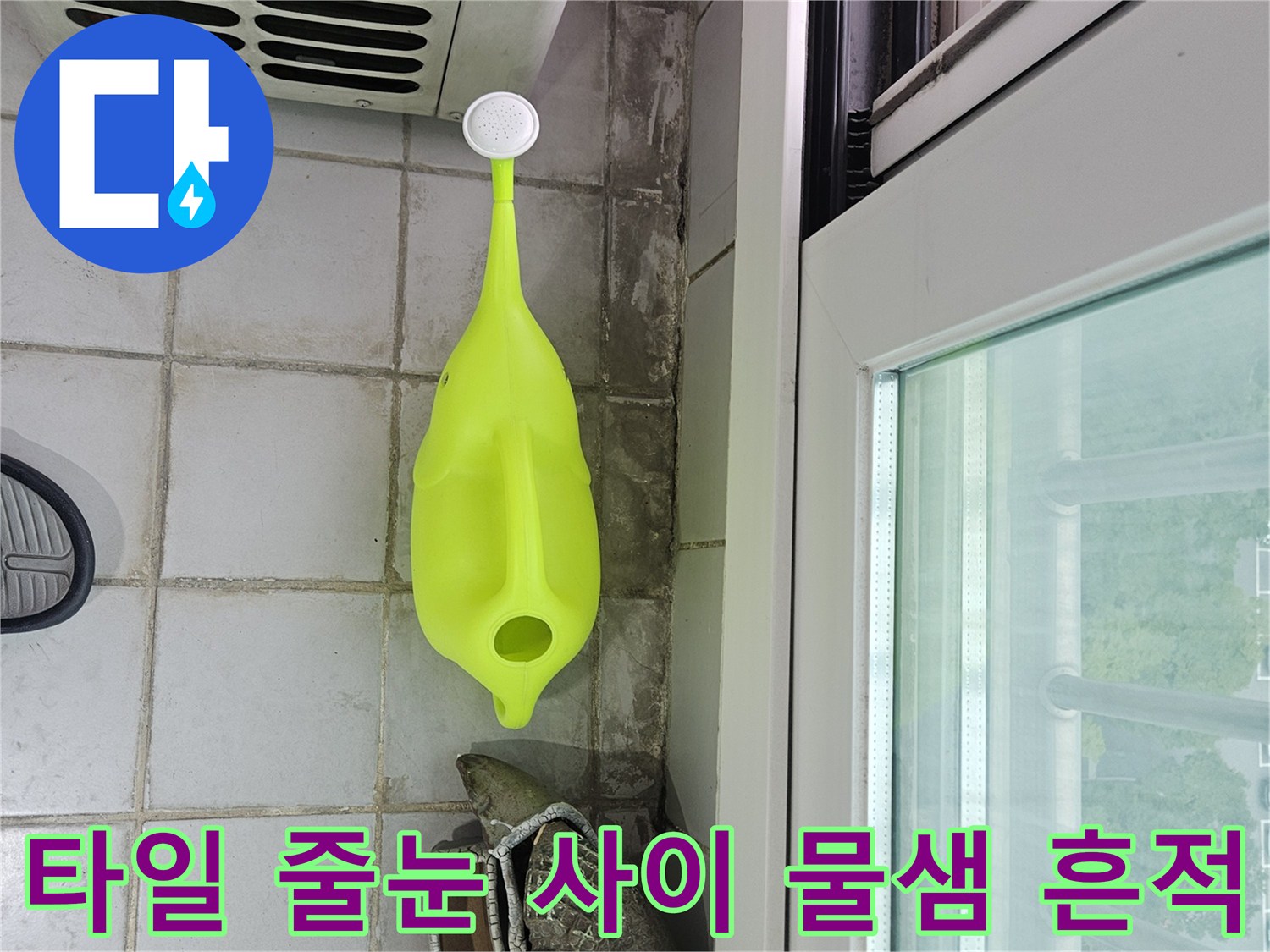 정자동 현장 사진-변색된 타일 줄눈 부위
