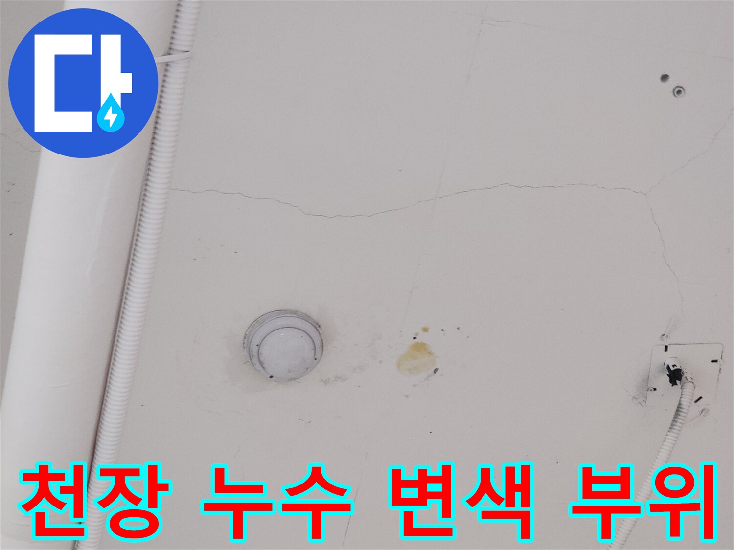 덕양구 식당-아래층 천장 물샘 흔적 및 균열 상태