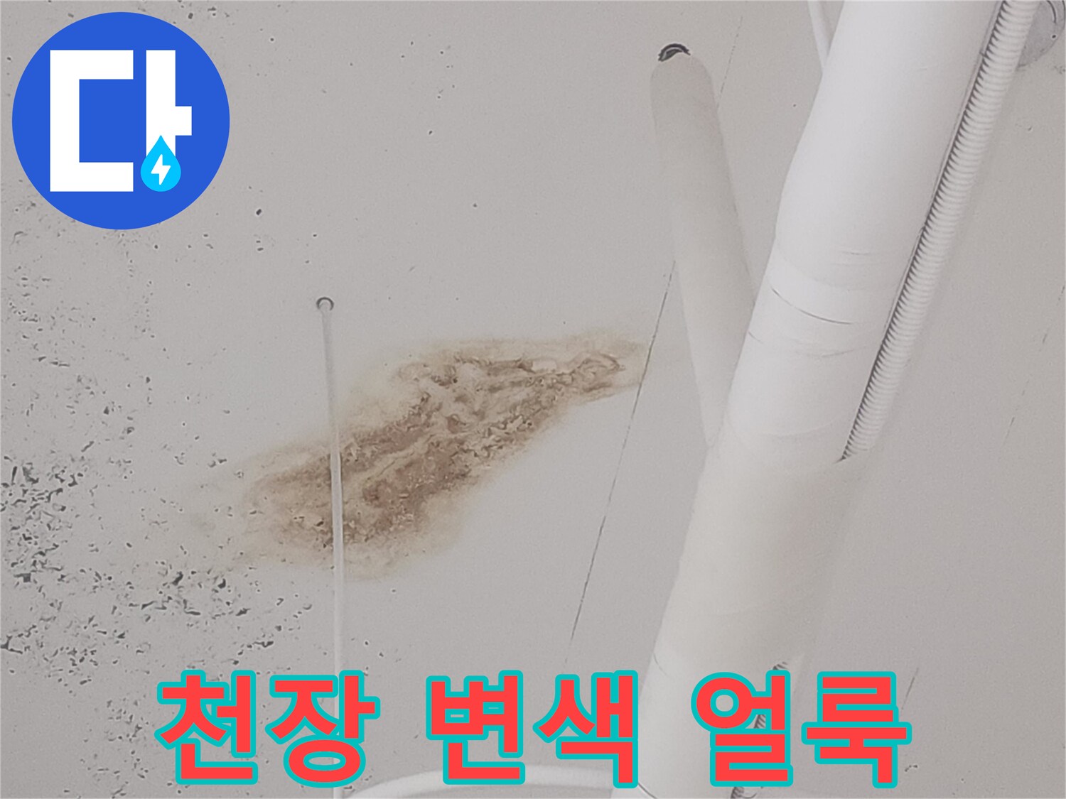 식당-아래층-천장-배관-주변-누수-흔적