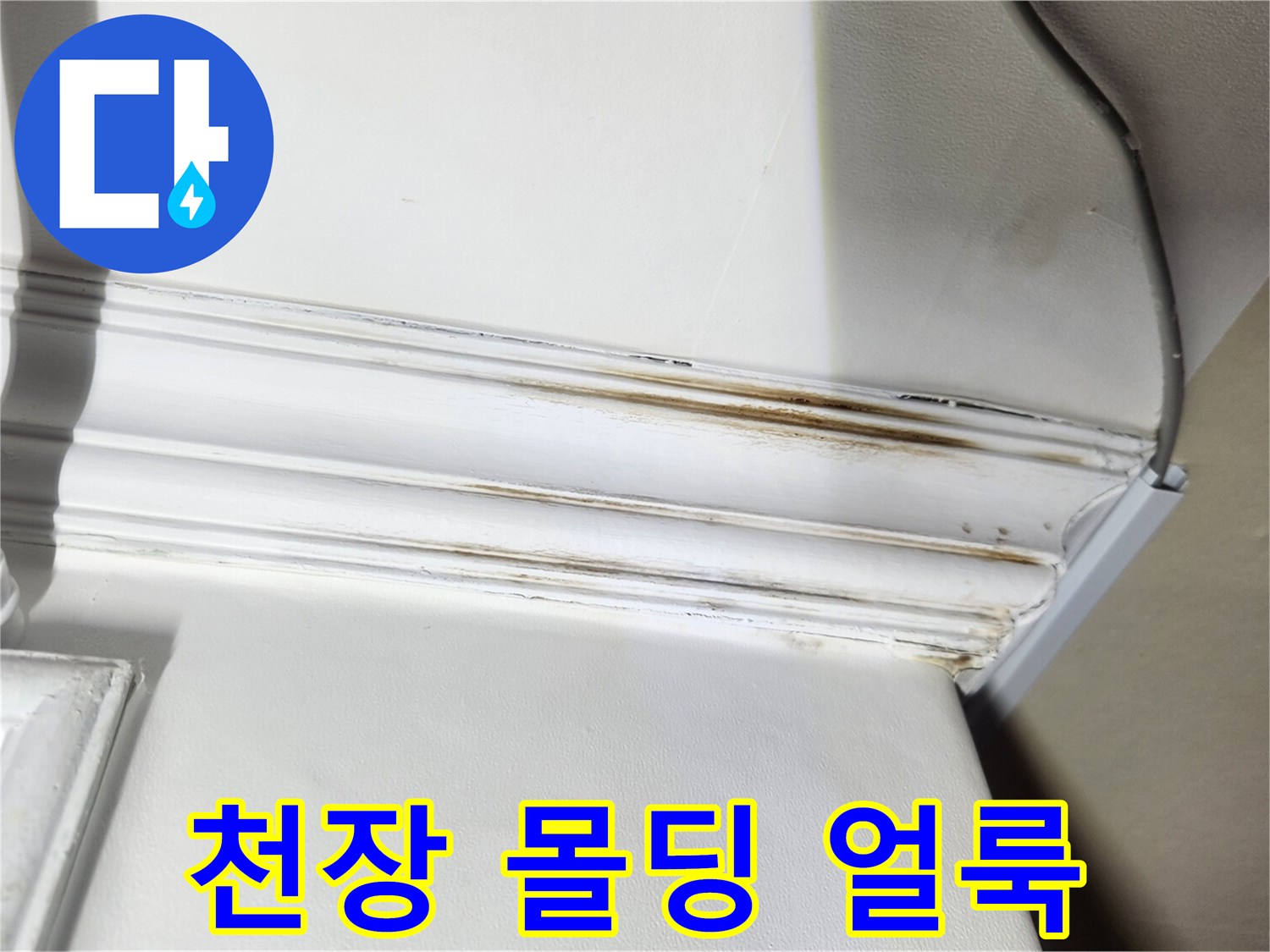 성내동 현장의 천장 몰딩 누수 변색 부위
