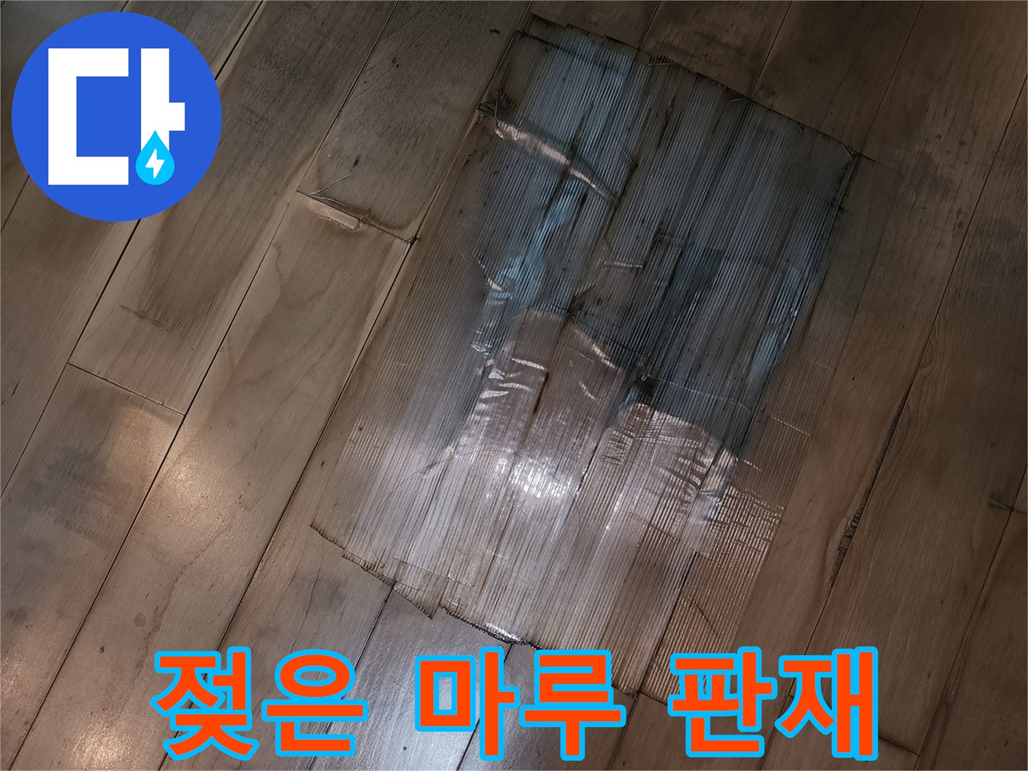 물기에-의해-변색된-마루-바닥