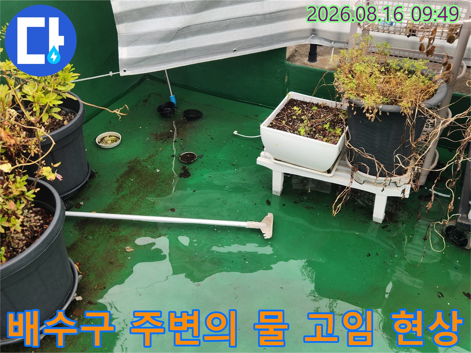 배수구가 막혀 물이 고인 옥상 바닥 전경