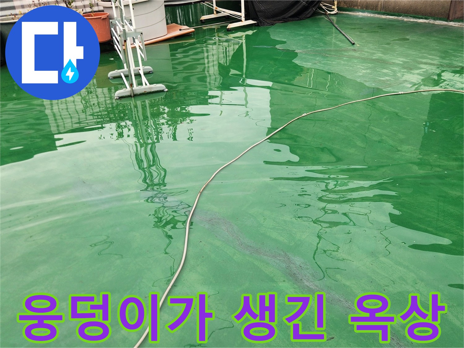 초록색-바닥면의-물고임-상태