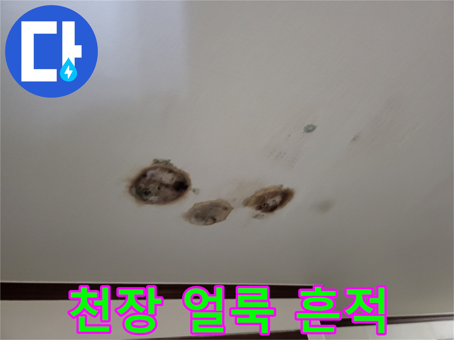 다세대 주택-천장에 발생한 짙은 색의 물샘 흔적