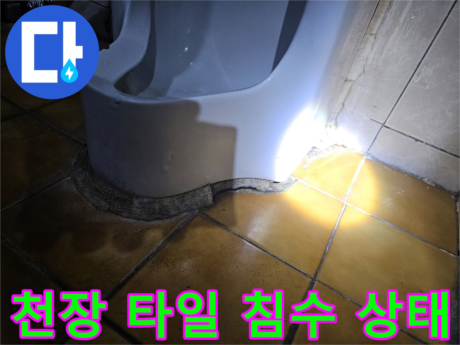 축축하게 젖어 있는-지하 천장 타일의 접합부 모습
