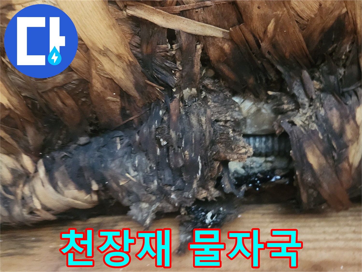 물샘-흔적이-뚜렷한-천장-목재-부위