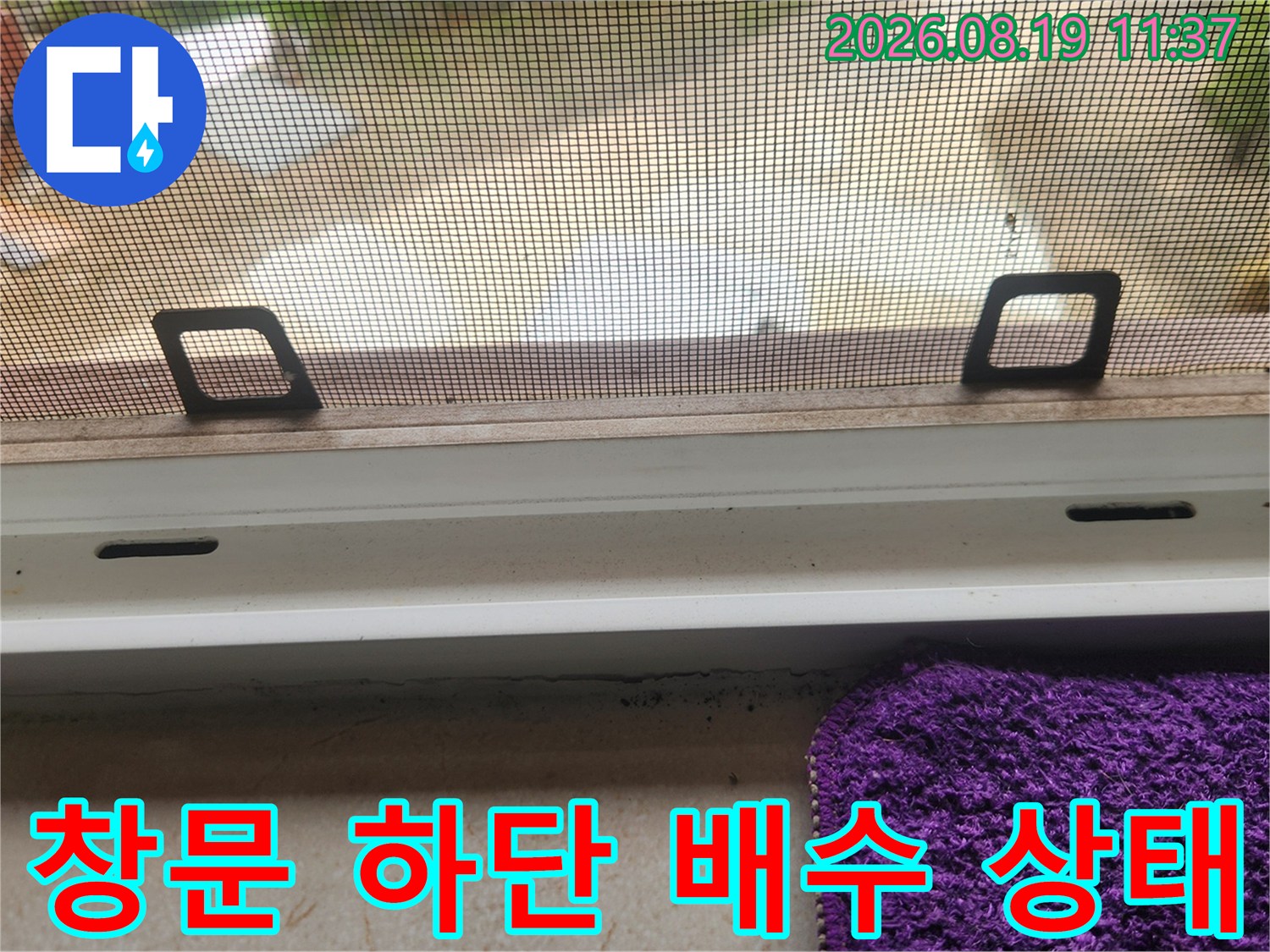 창문 프레임 아래쪽의-물구멍 및 배수 구조