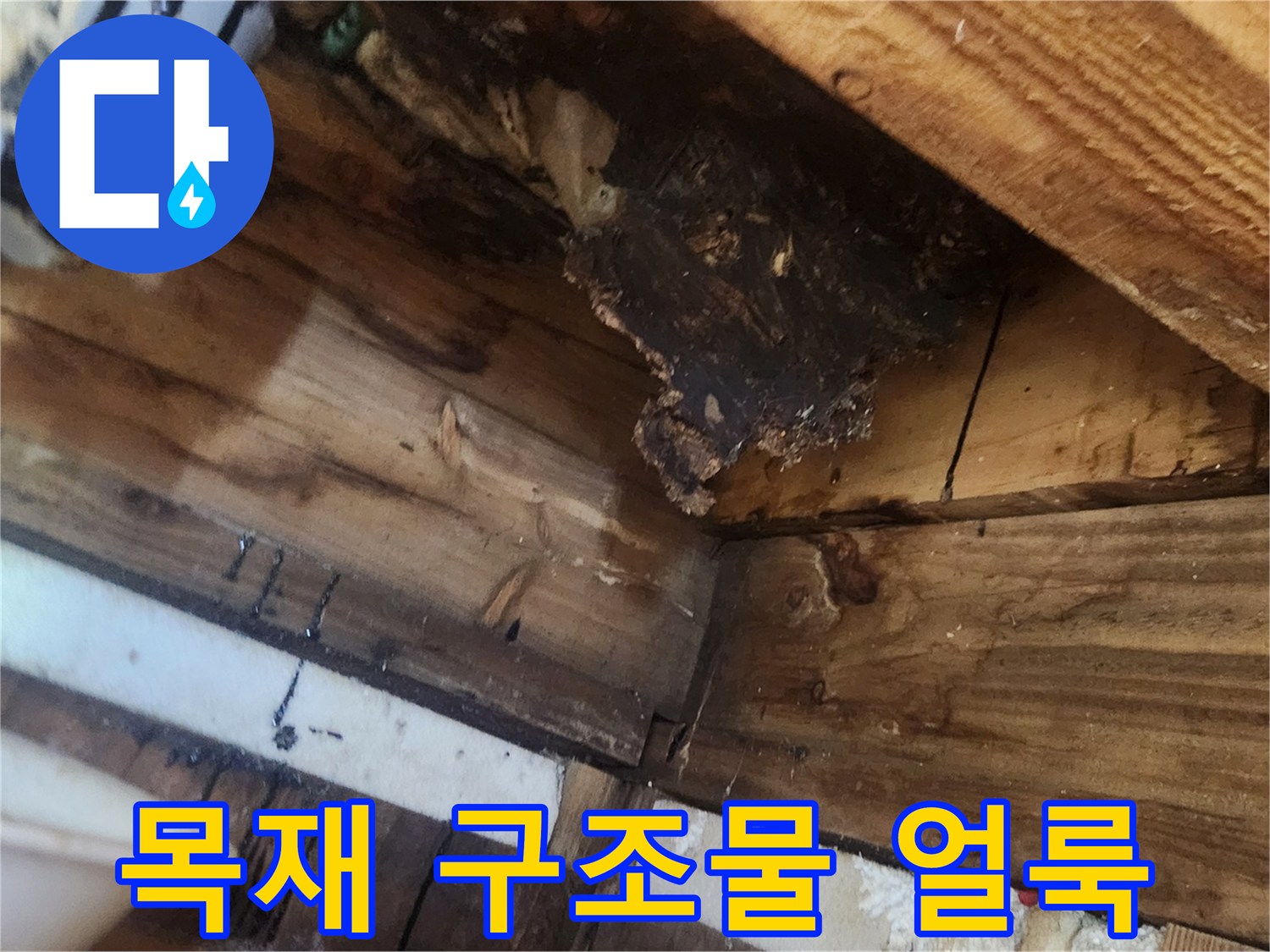 천장-상부-목재-얼룩-및-습기-상태