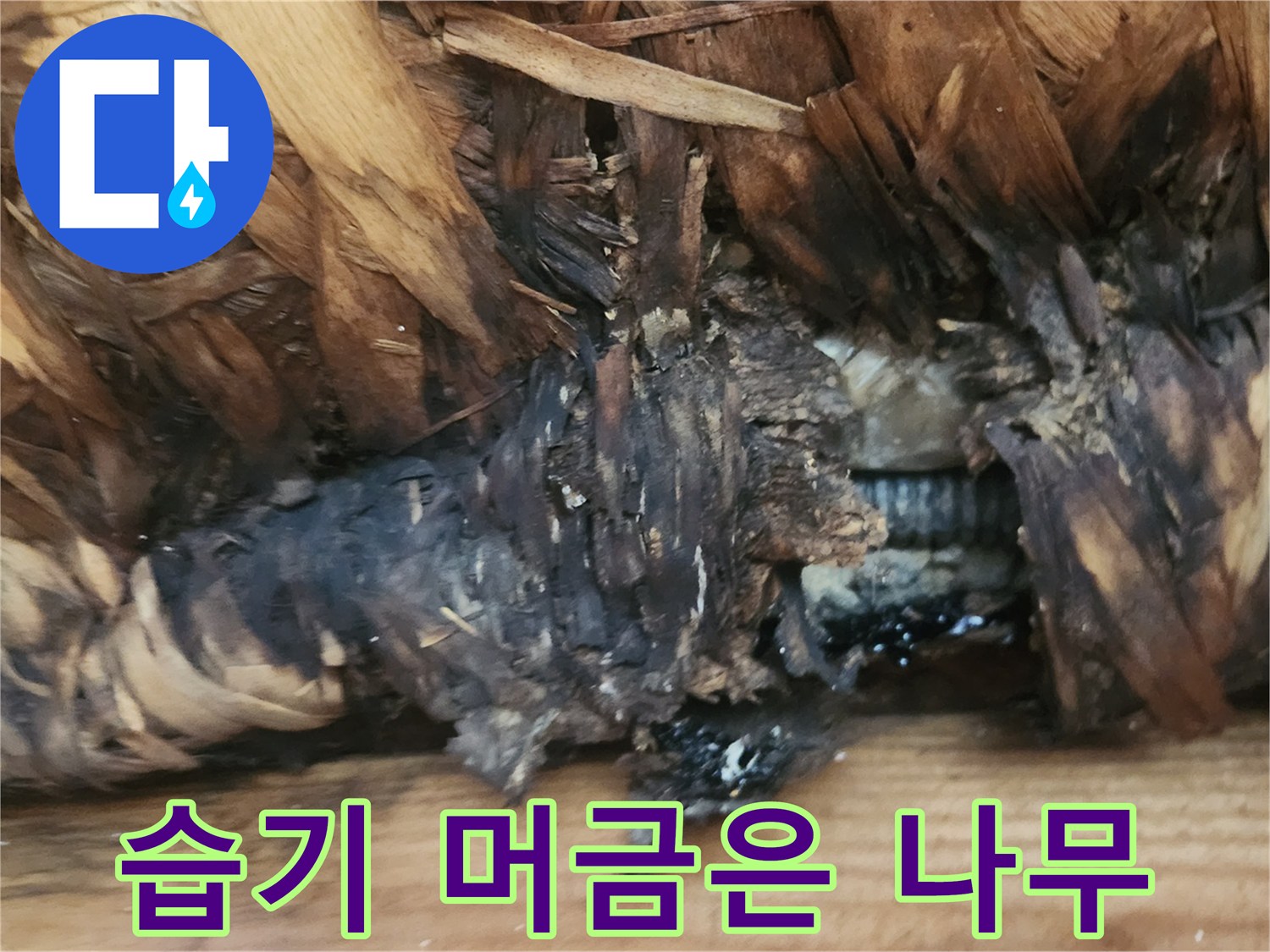축축했던-흔적이-남은-천장-자재