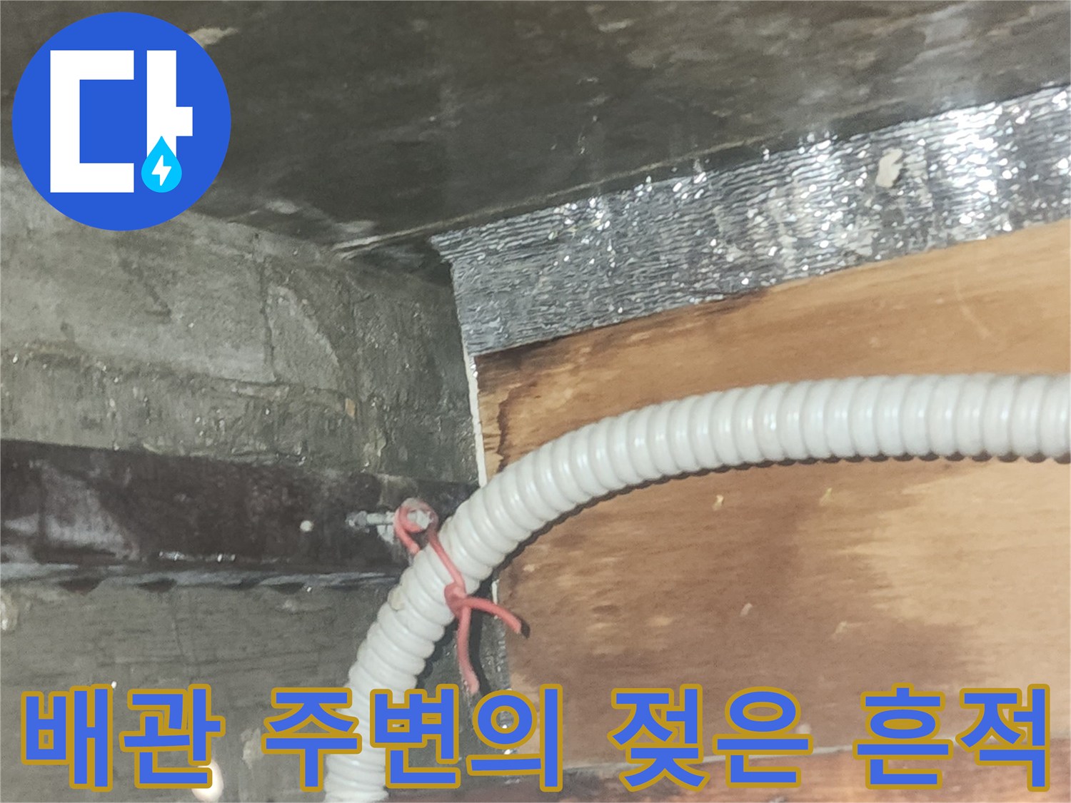 배관-주변-벽면의-젖음-및-습기-현상