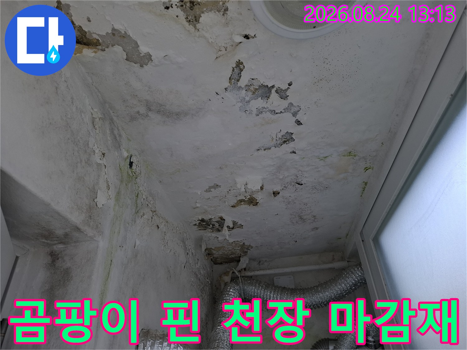 누수로 인해 곰팡이가 발생한 천장 마감재의 모습