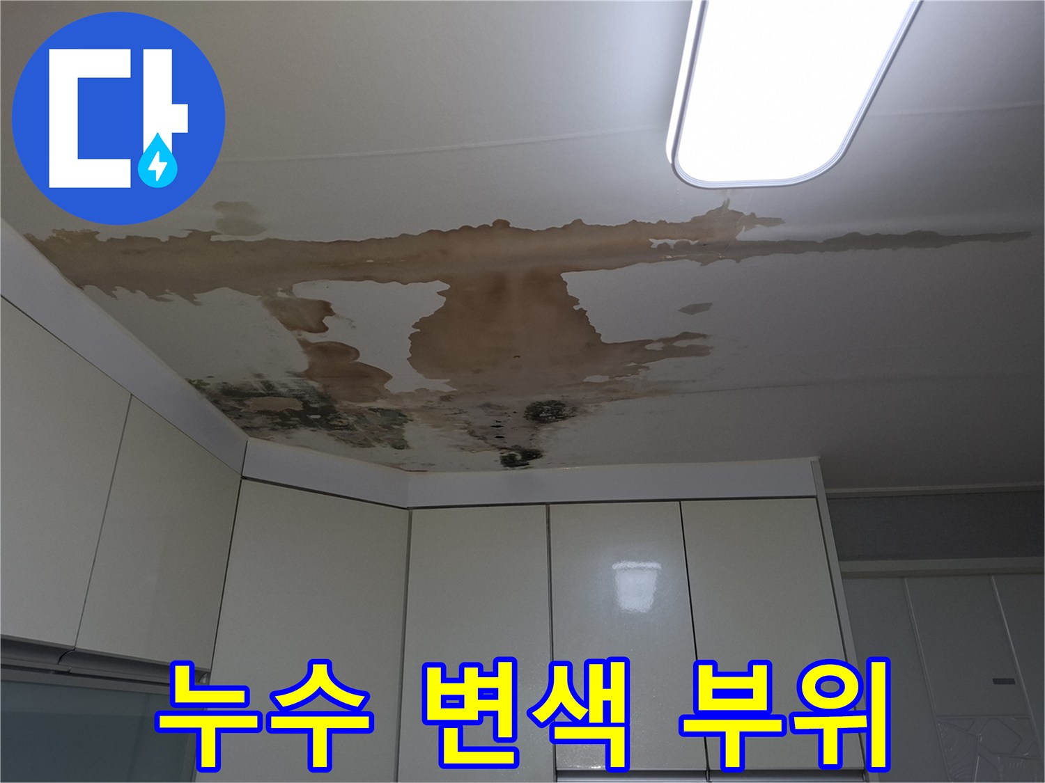 천장 마감재의 갈색 누수 흔적과 젖은 상태