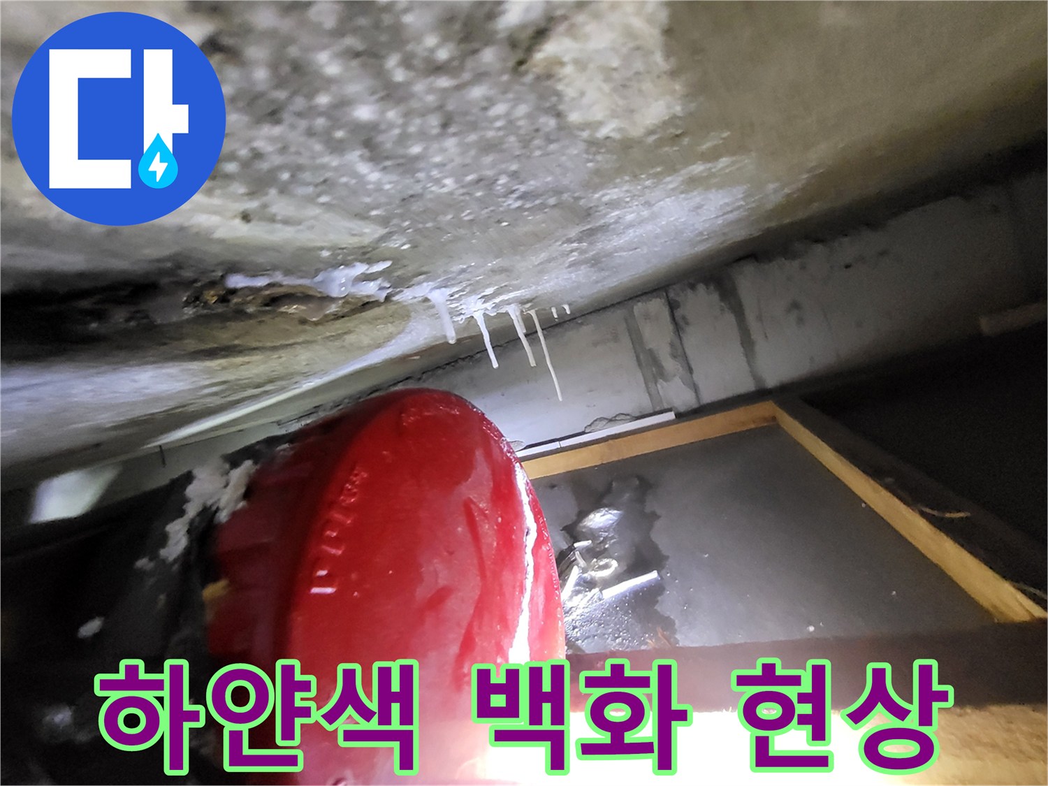 천장 배관 부근-백화가 진행된 슬래브