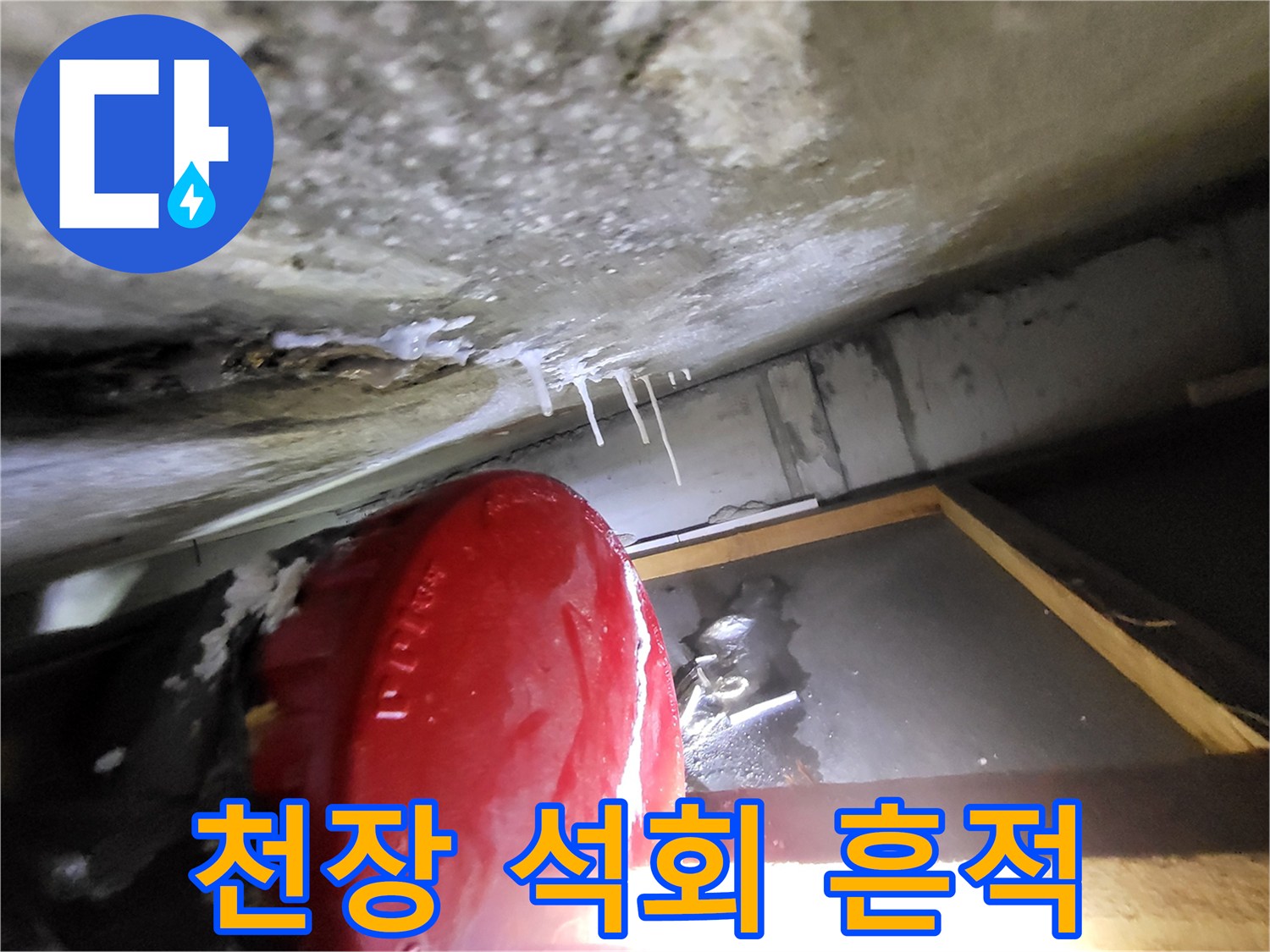 천장 콘크리트-하얗게 변한 백화 부위