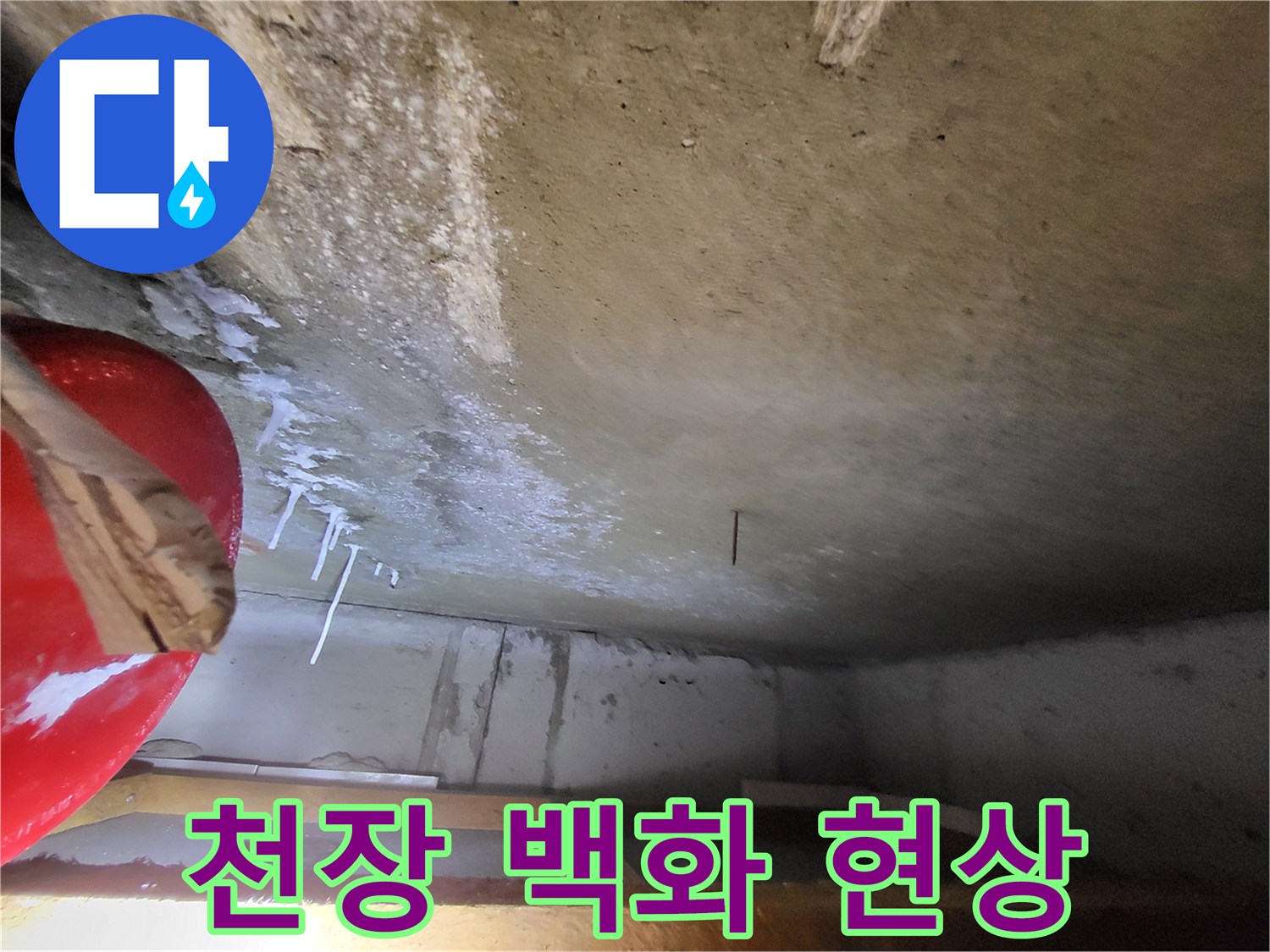 콘크리트-슬래브-표면의-하얀-백화-현상-사진