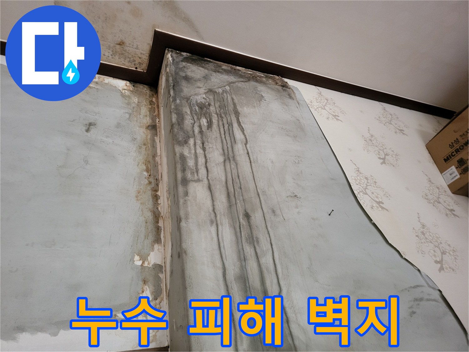 심하게 오염된 벽지와 습기 젖은 면