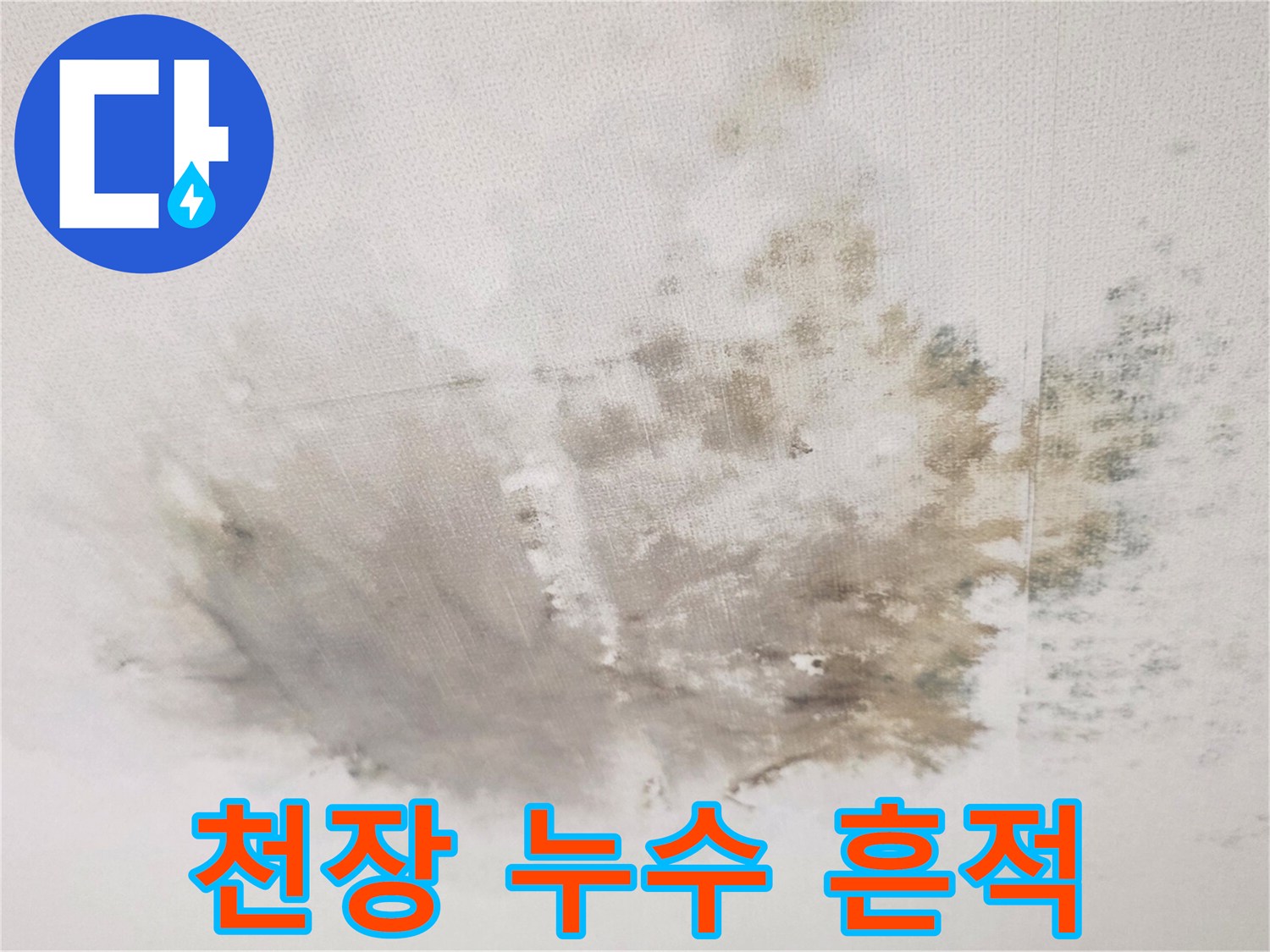 거실 천장에 발생한 넓은 범위의 젖은 얼룩