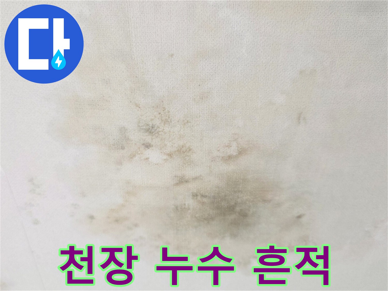 축축하게-젖어있는-거실-천장-벽지-상태