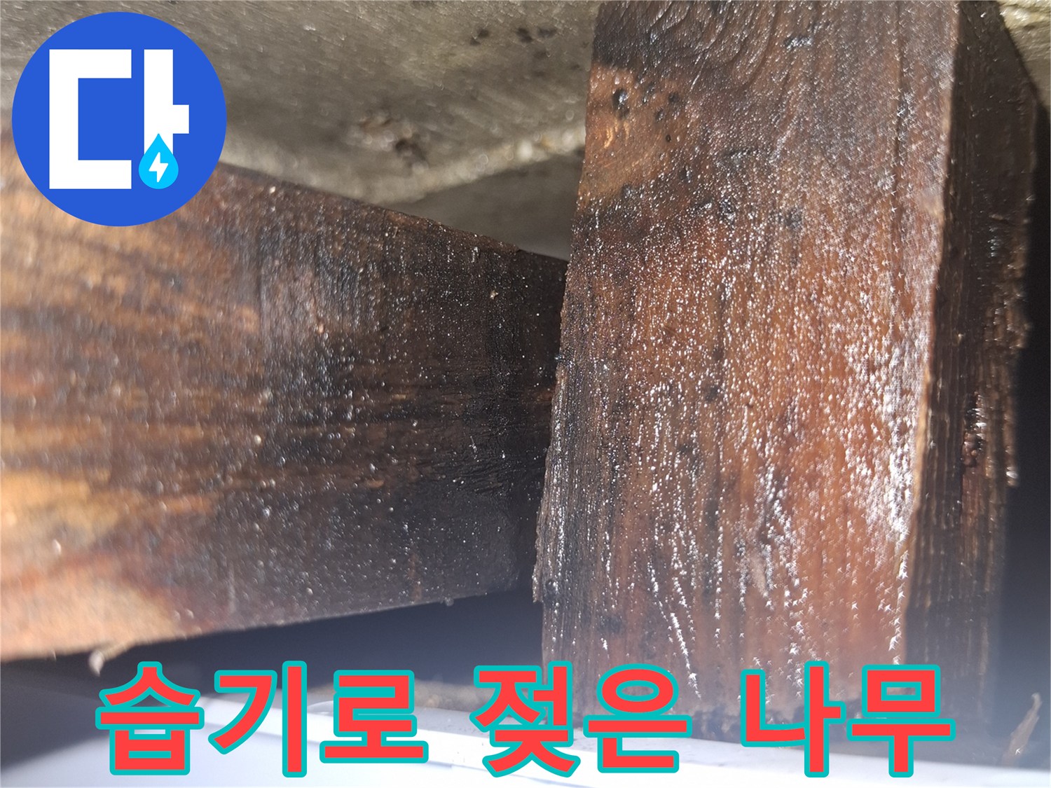 누수 지점 근처의 젖어 있는 목재 부위