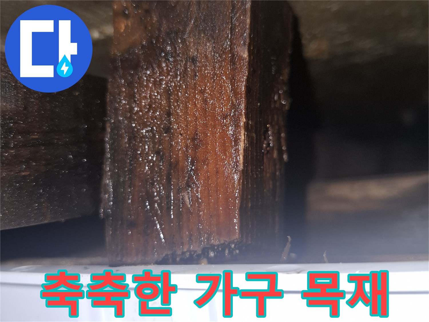 습기를 머금어 어둡게 변한 싱크대 하단 목재