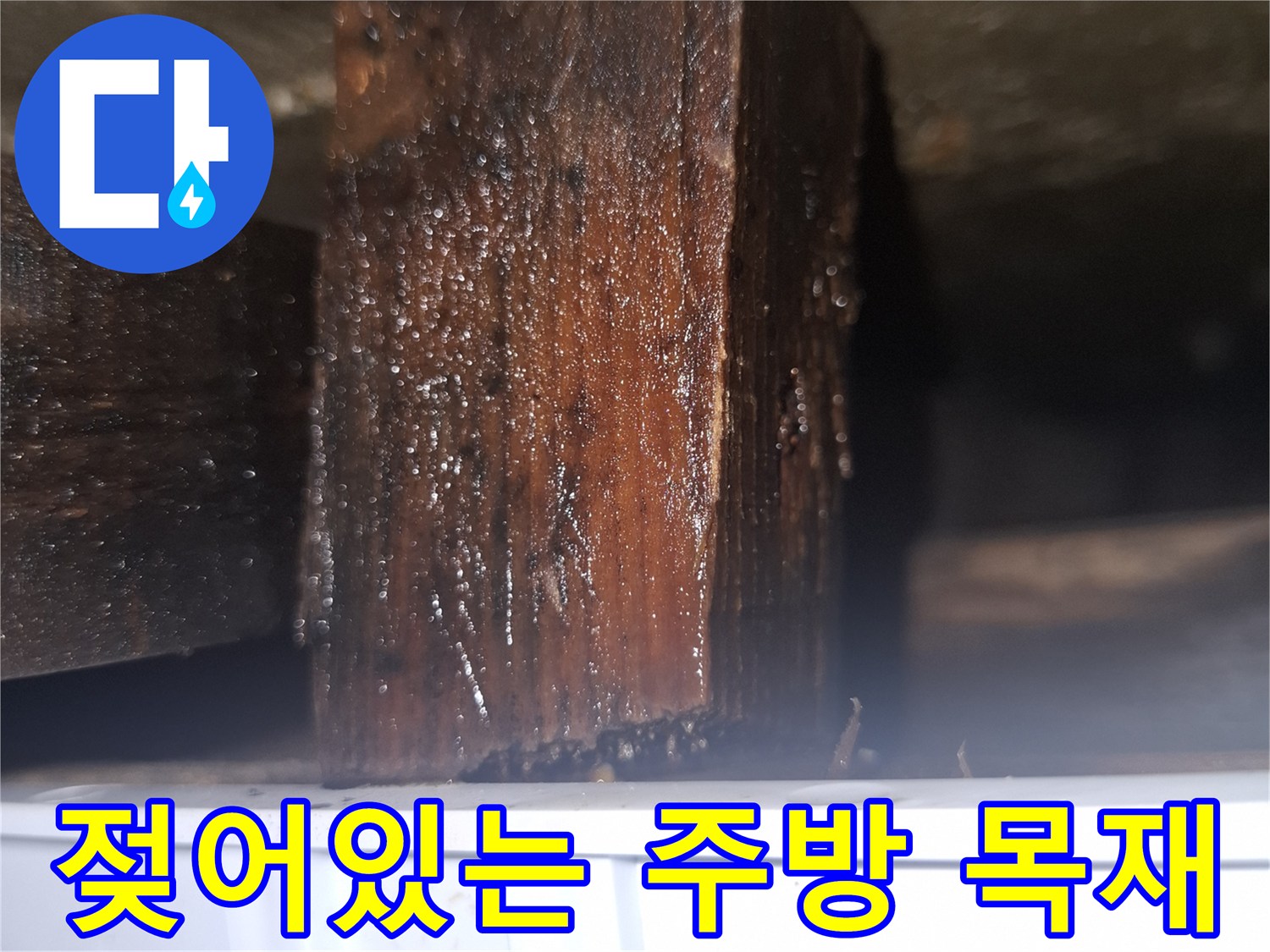 주방 가구 하부의 젖은 목재 구조물 상태
