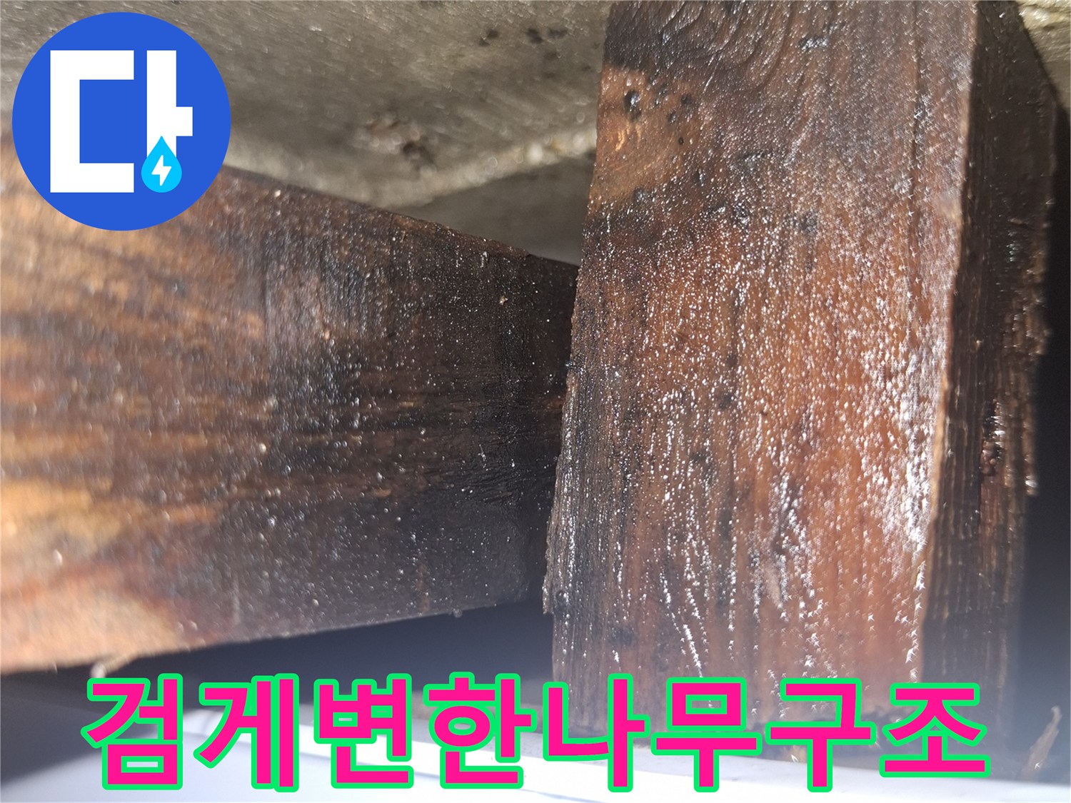 침투한-습기로-검은색으로-변한-목재-단면