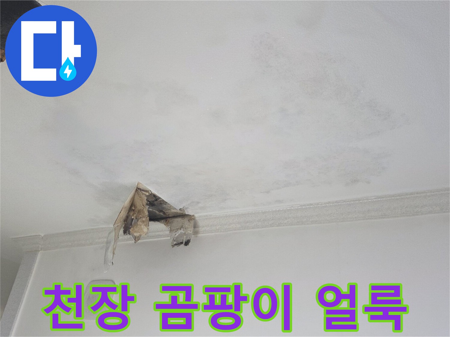 물샘 흔적이 남아있는 천장 벽지 상세 모습
