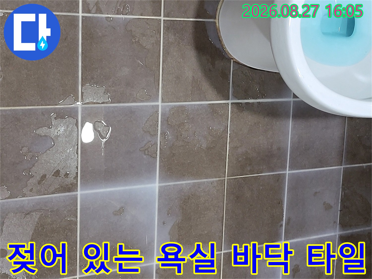 변기 하단부-물기가 고인 타일 사이