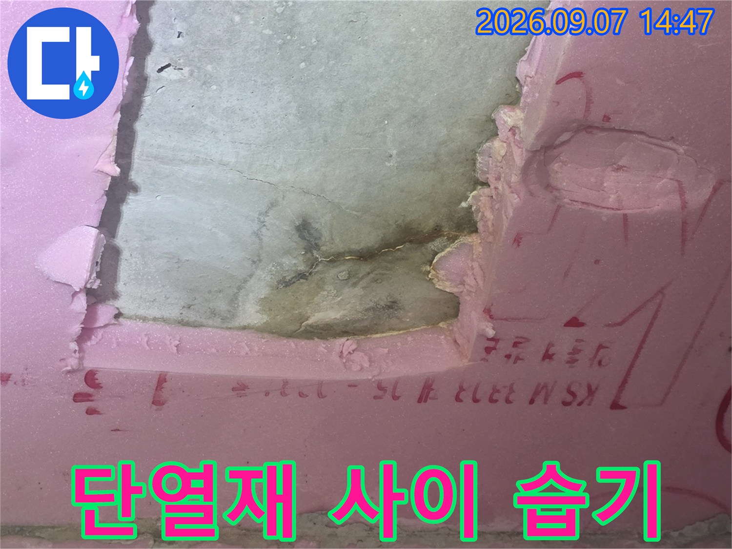 분홍색 단열재-노출된 콘크리트의 젖은 상태