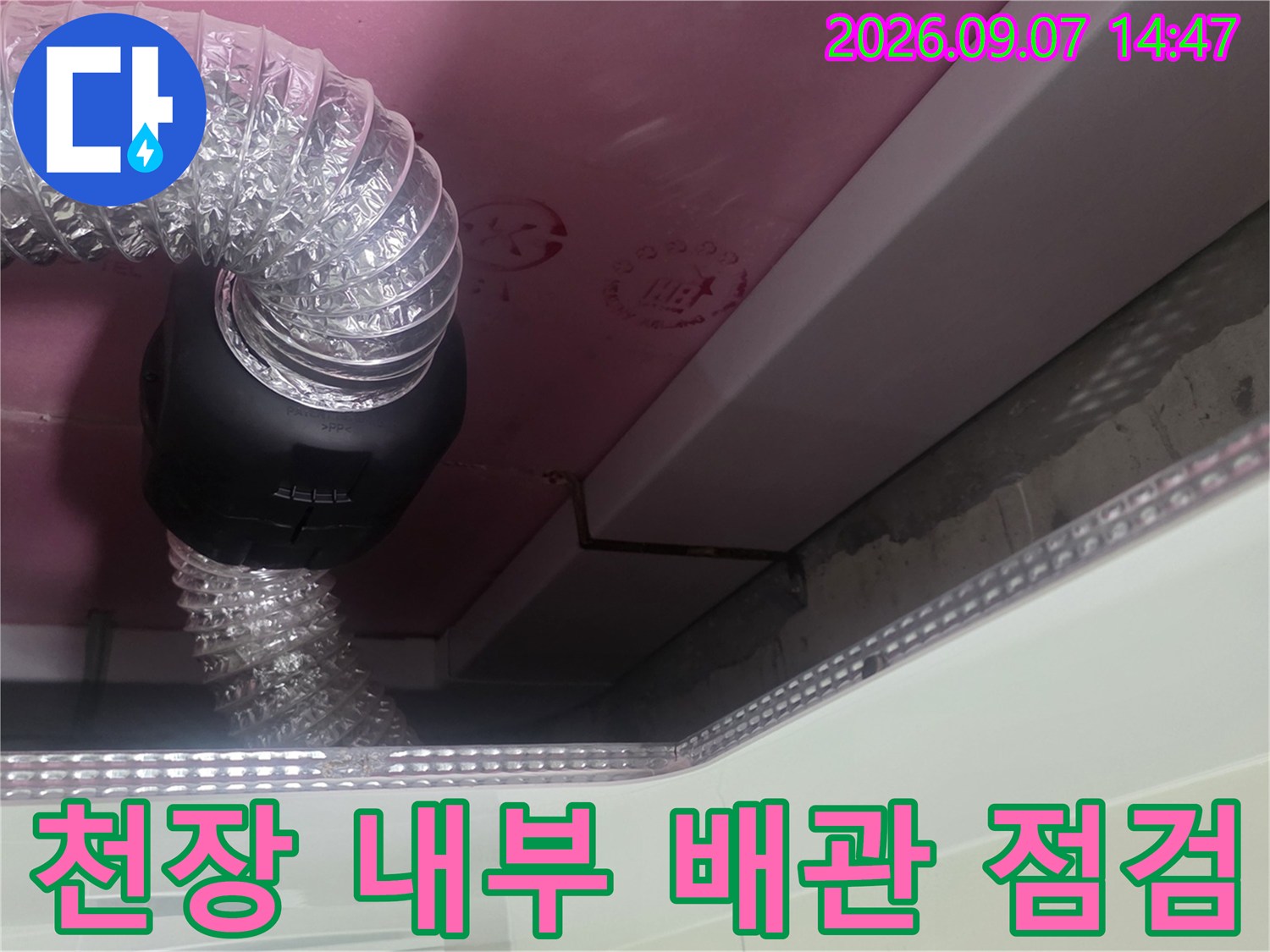 분홍색 천장재와 연결된 투명한 호스 및 구조물입니다.