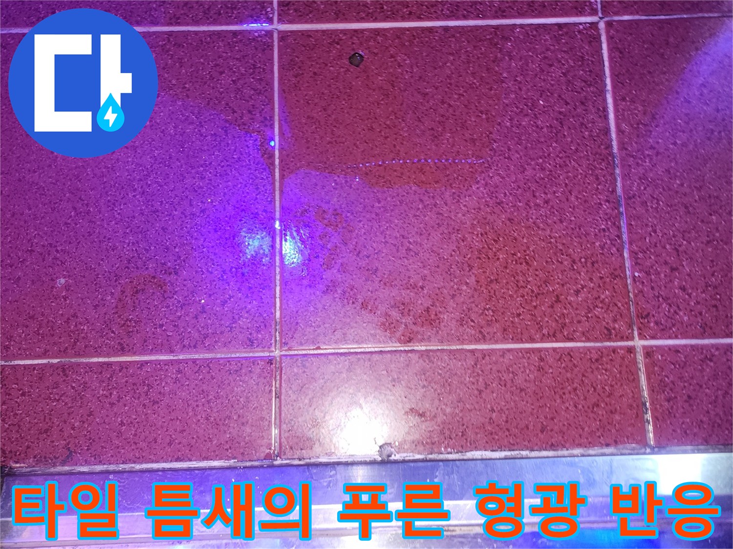 누수-지점을-밝혀주는-자외선-형광-반응