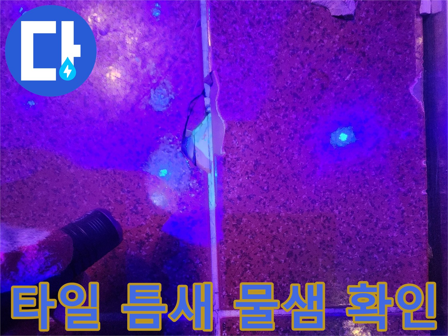 타일-줄눈-사이의-푸른색-누수-반응-지점