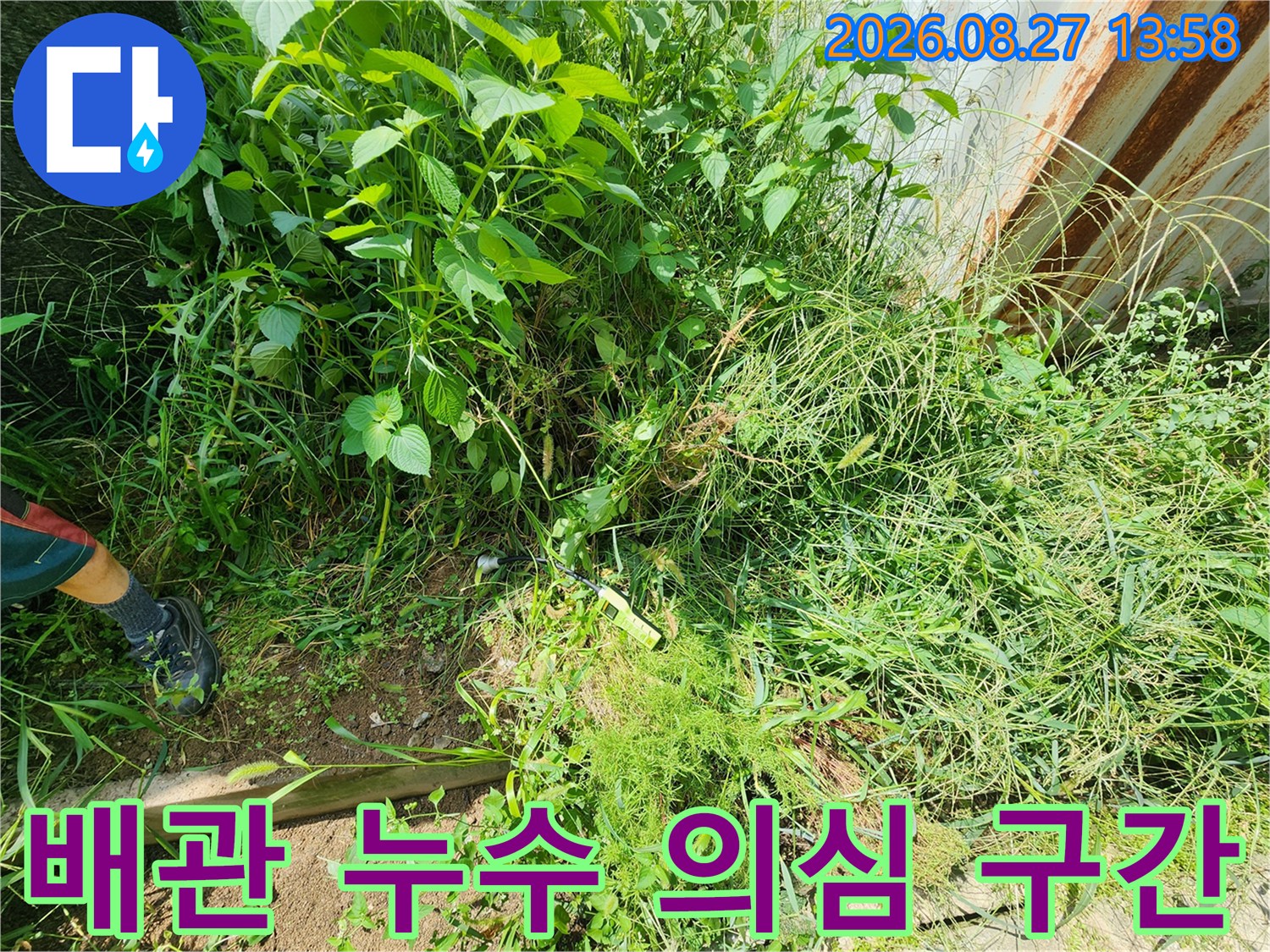 우거진 풀숲-집수정 인근 배관 누수 탐지 현장