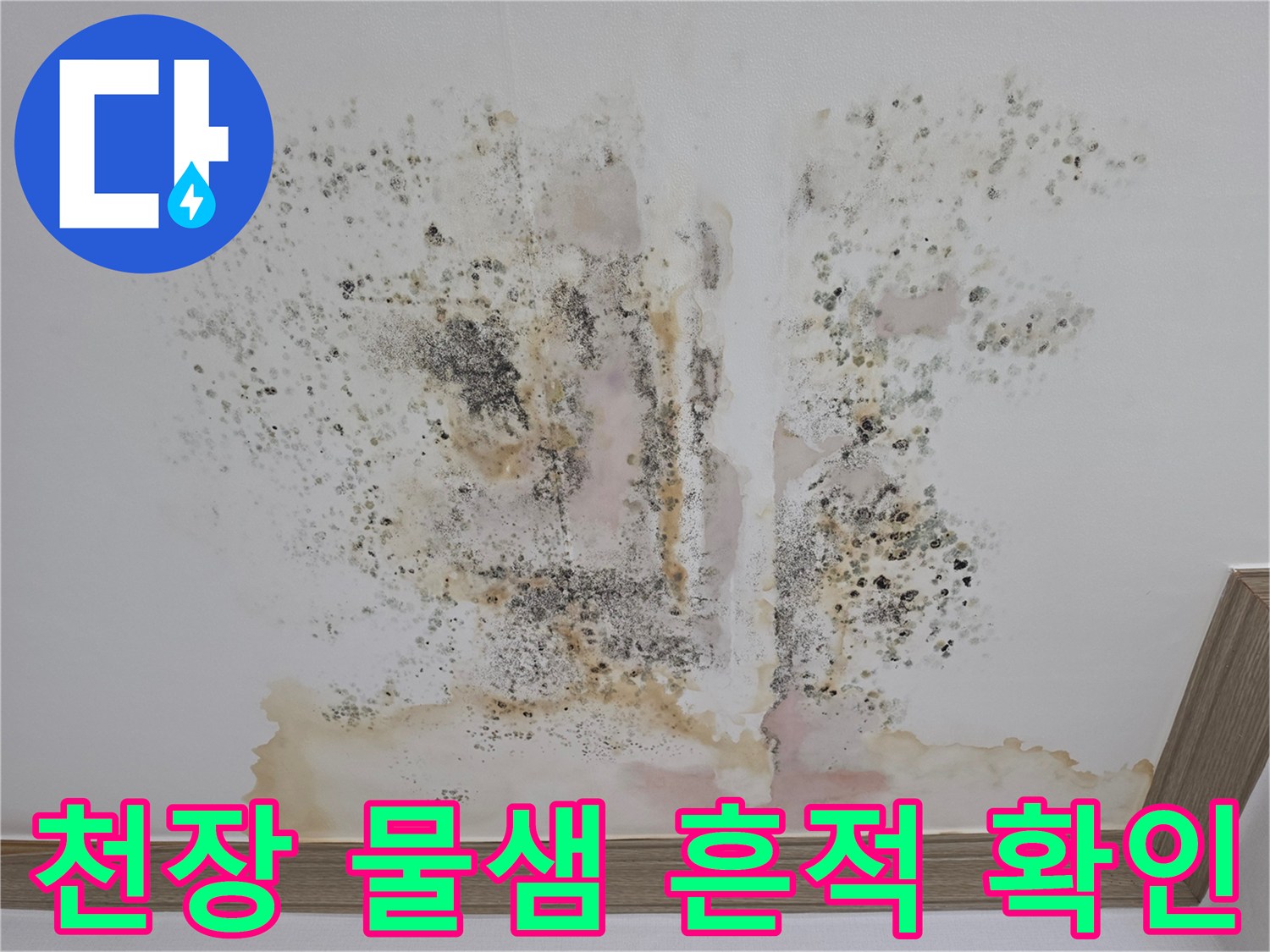 곰팡이와 물자국으로 오염된 아파트 천장 마감재 부위