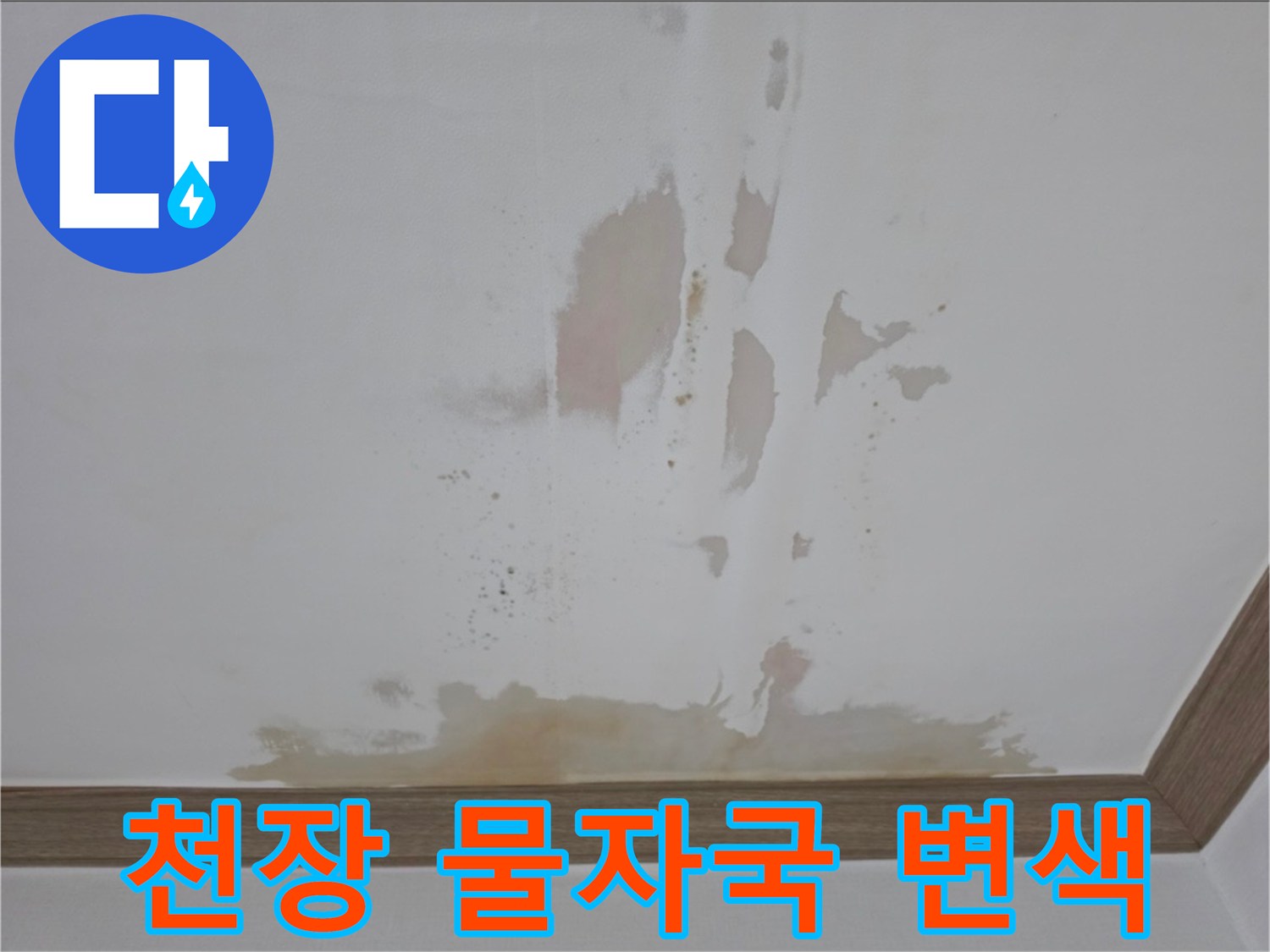 아파트-천장-면의-넓은-물자국-및-변색-상태